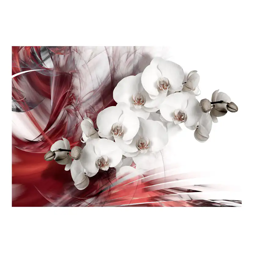 Fototapet Arkiio Orchid In Red