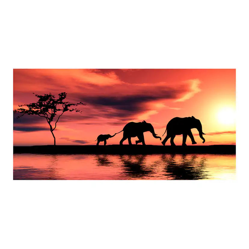 Fototapet XXL Arkiio elephants family 550x270 cm