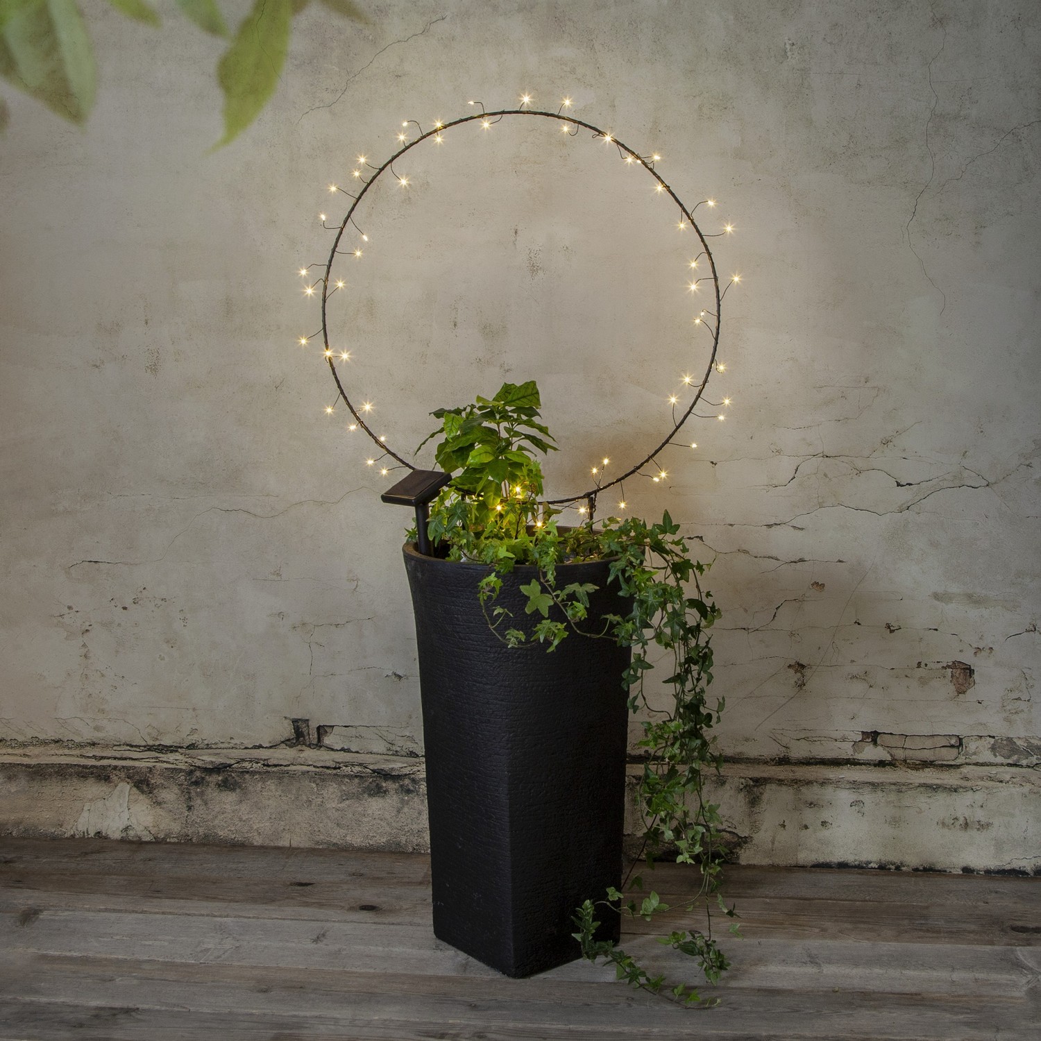 Solcellsdekoration Star Trading Barlumi 60  cm 60L