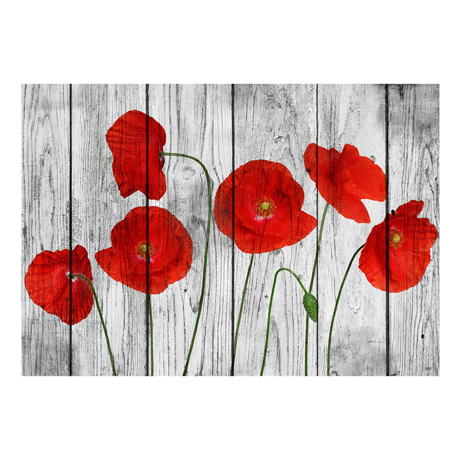 Tale of Red Poppies 400x280 Storlek: 400x280 cm