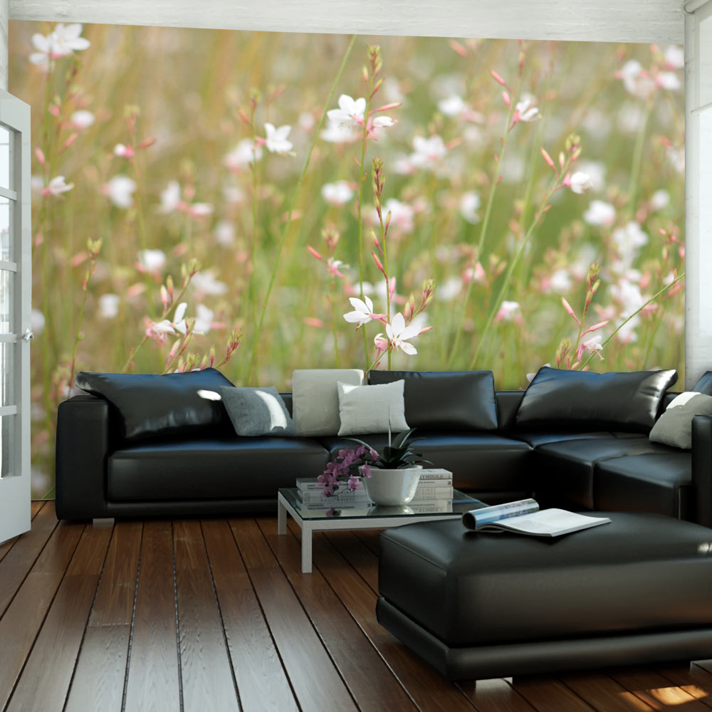Fototapet Arkiio Vita Känsliga Blommor