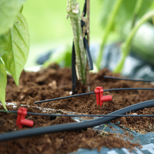 Tillbehörsset Automatisk Bevattning Vitavia