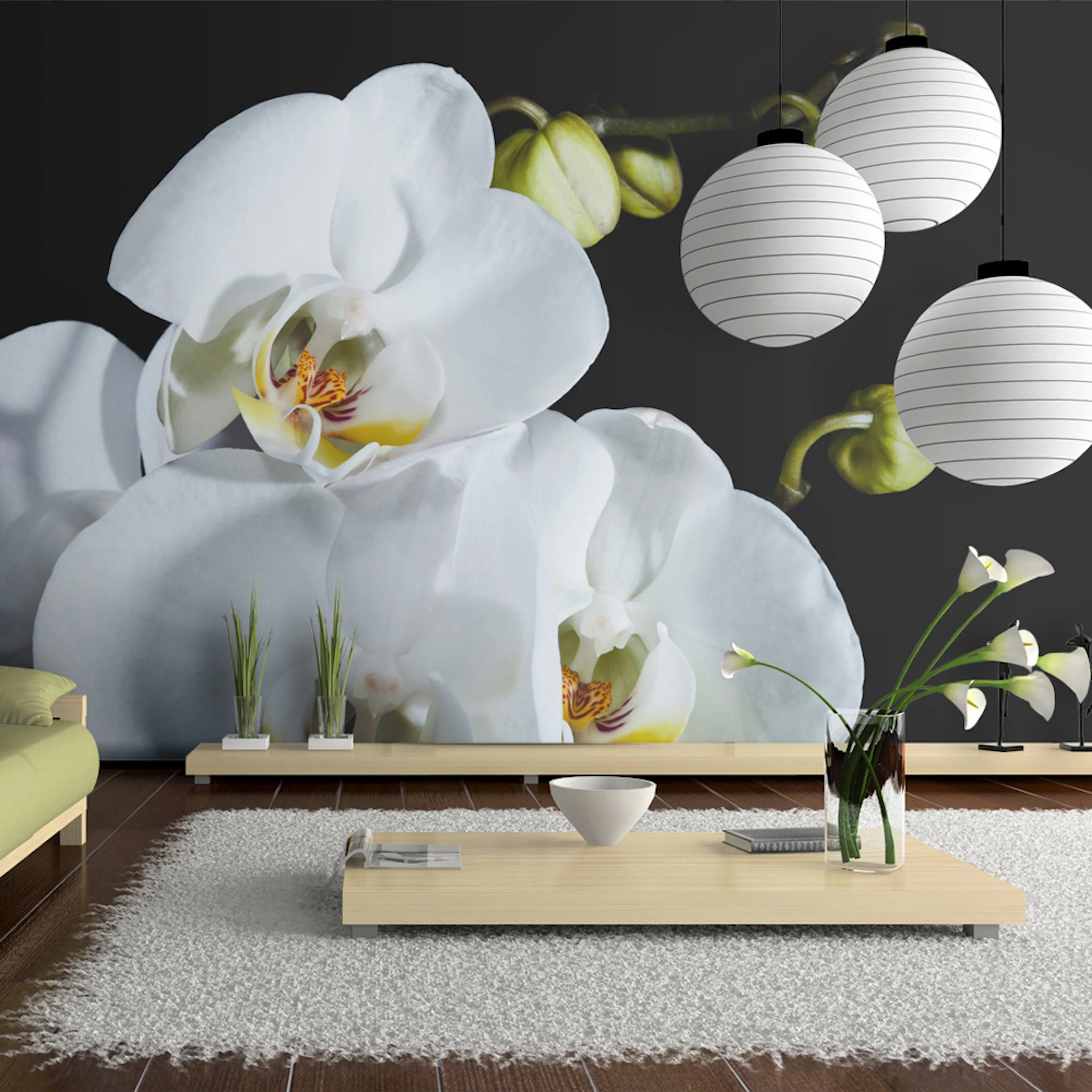 Fototapet Arkiio Phalaenopsis 450x270 cm
