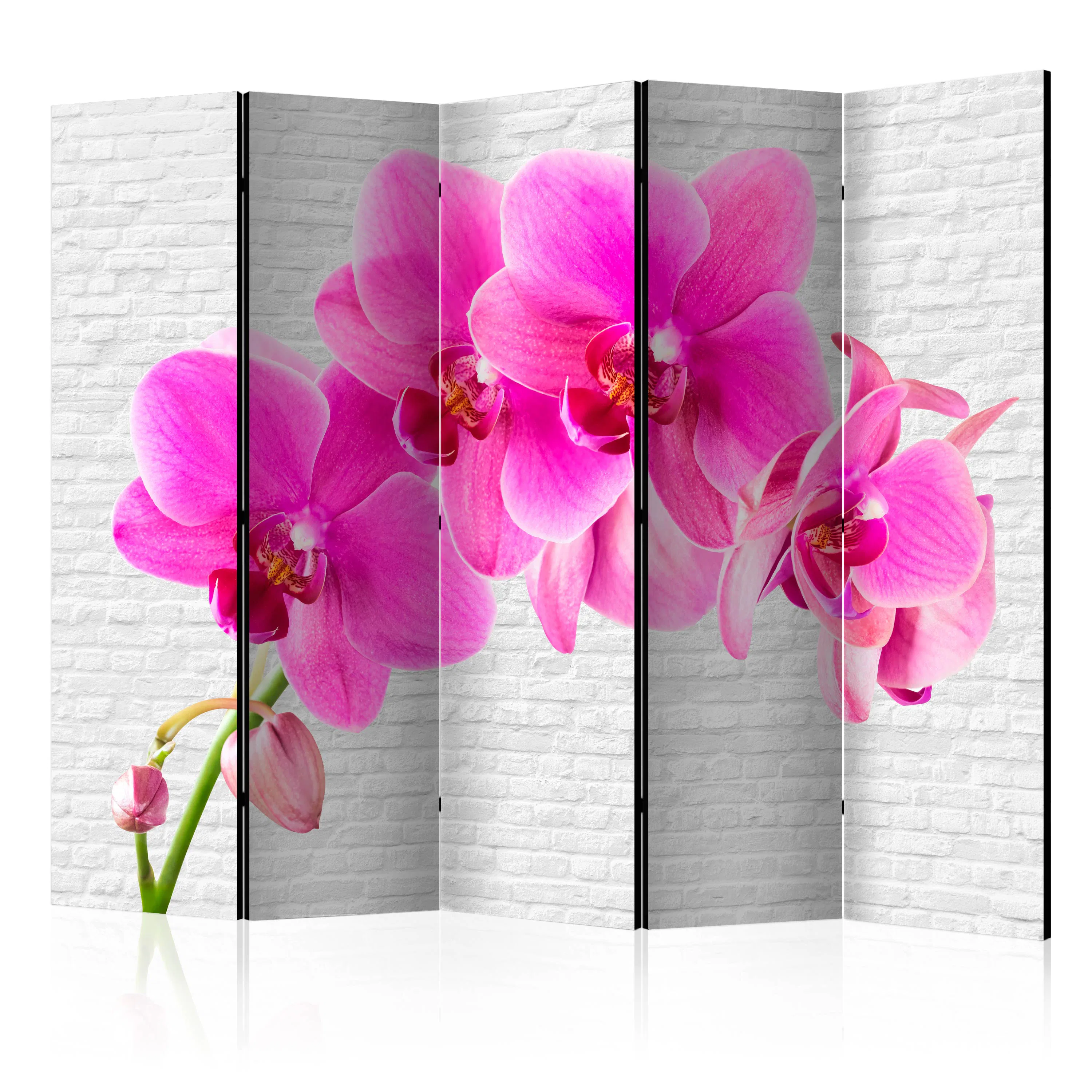 Rumsavdelare Arkiio Pink Excitation II 225x172 cm
