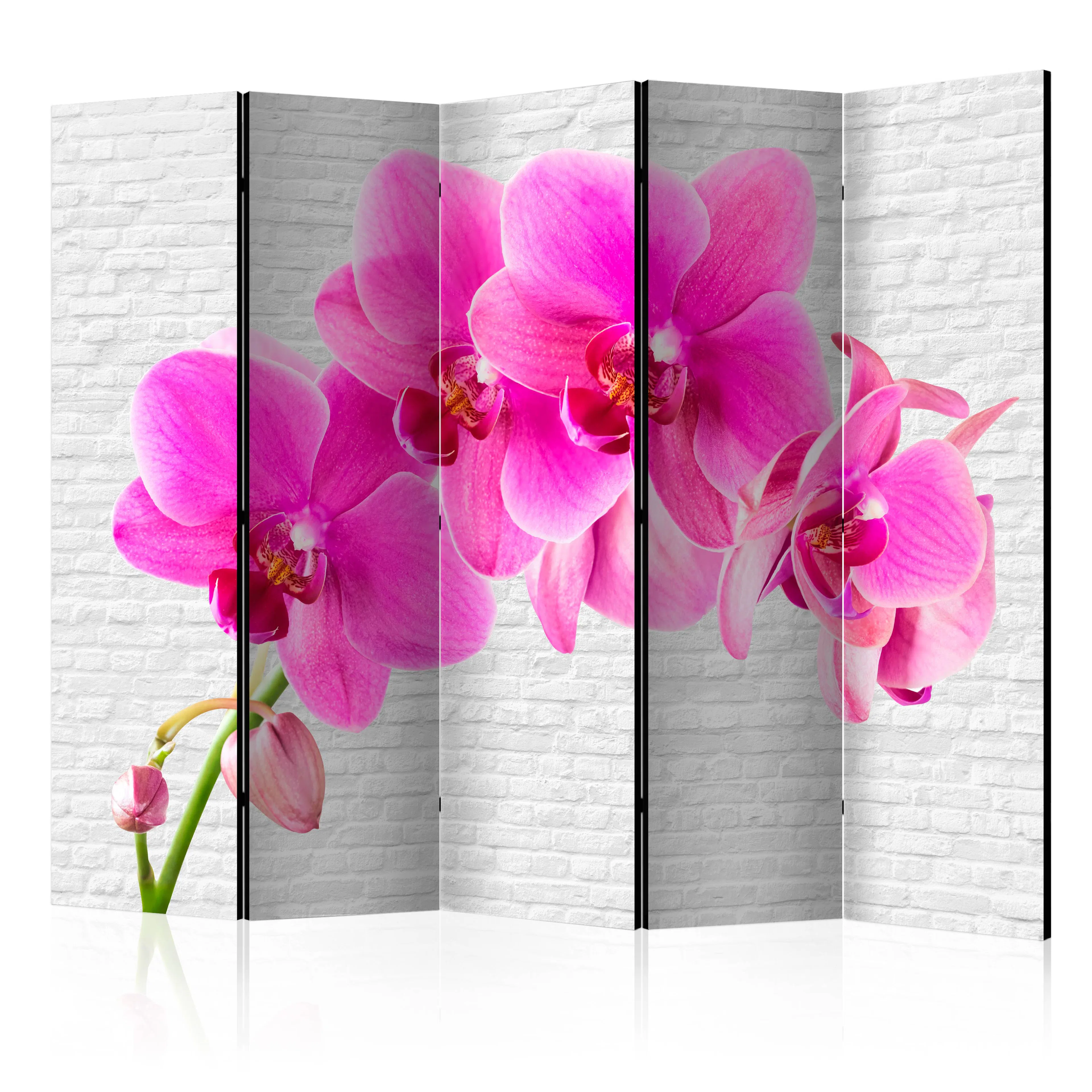 Rumsavdelare Arkiio Pink Excitation II 225x172 cm