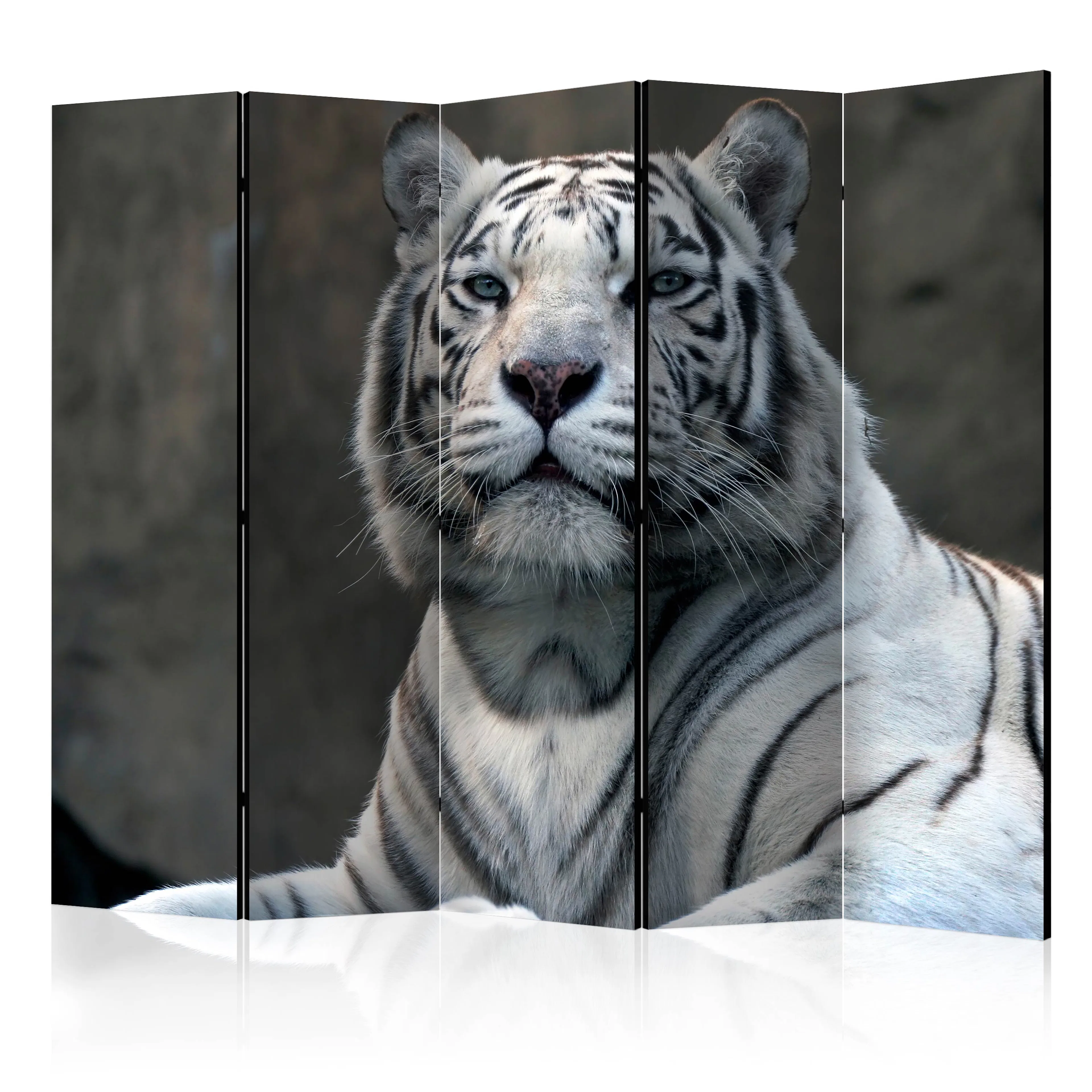 Rumsavdelare Arkiio Bengali Tiger In Zoo II 225x172 cm
