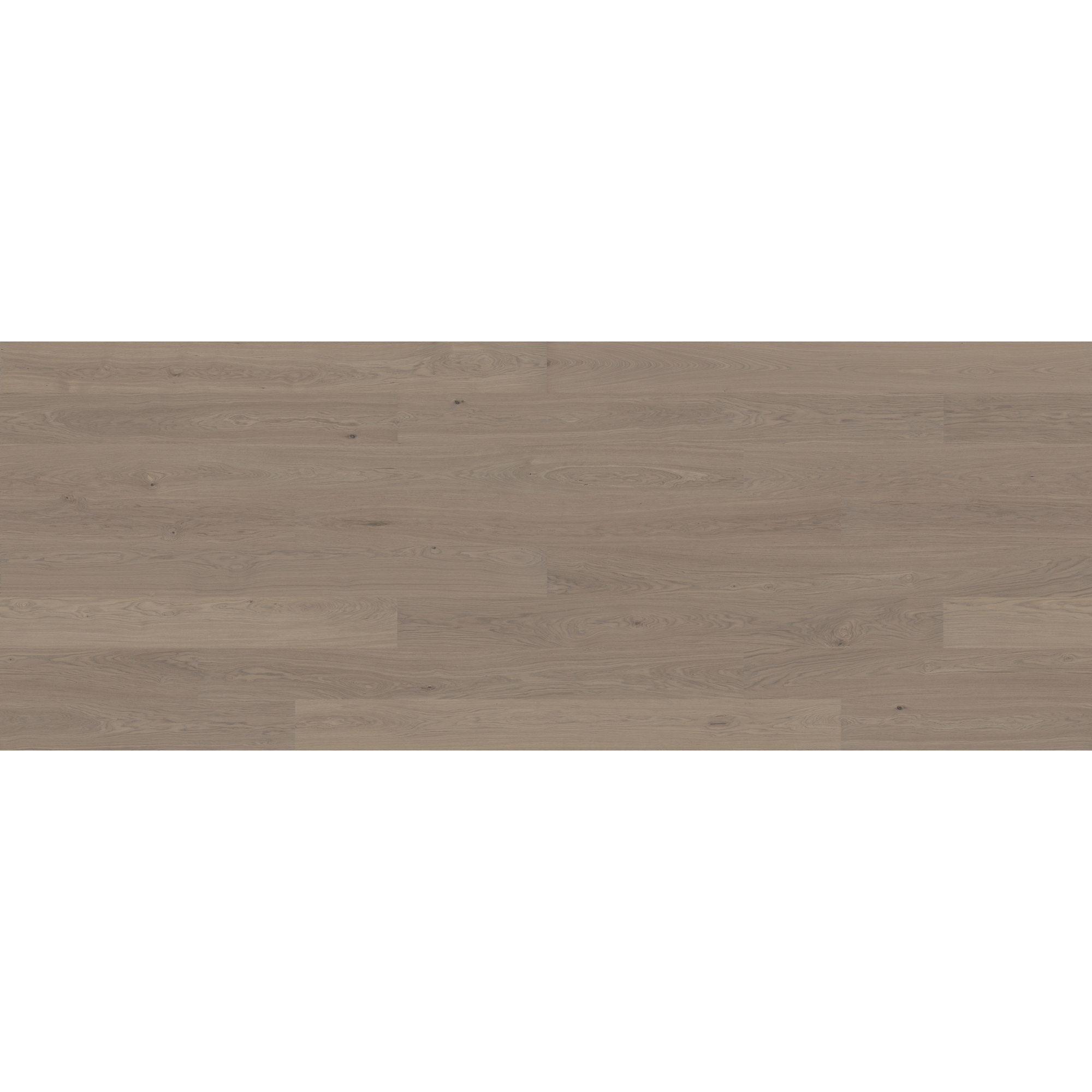 BONNARP 3.0 XL