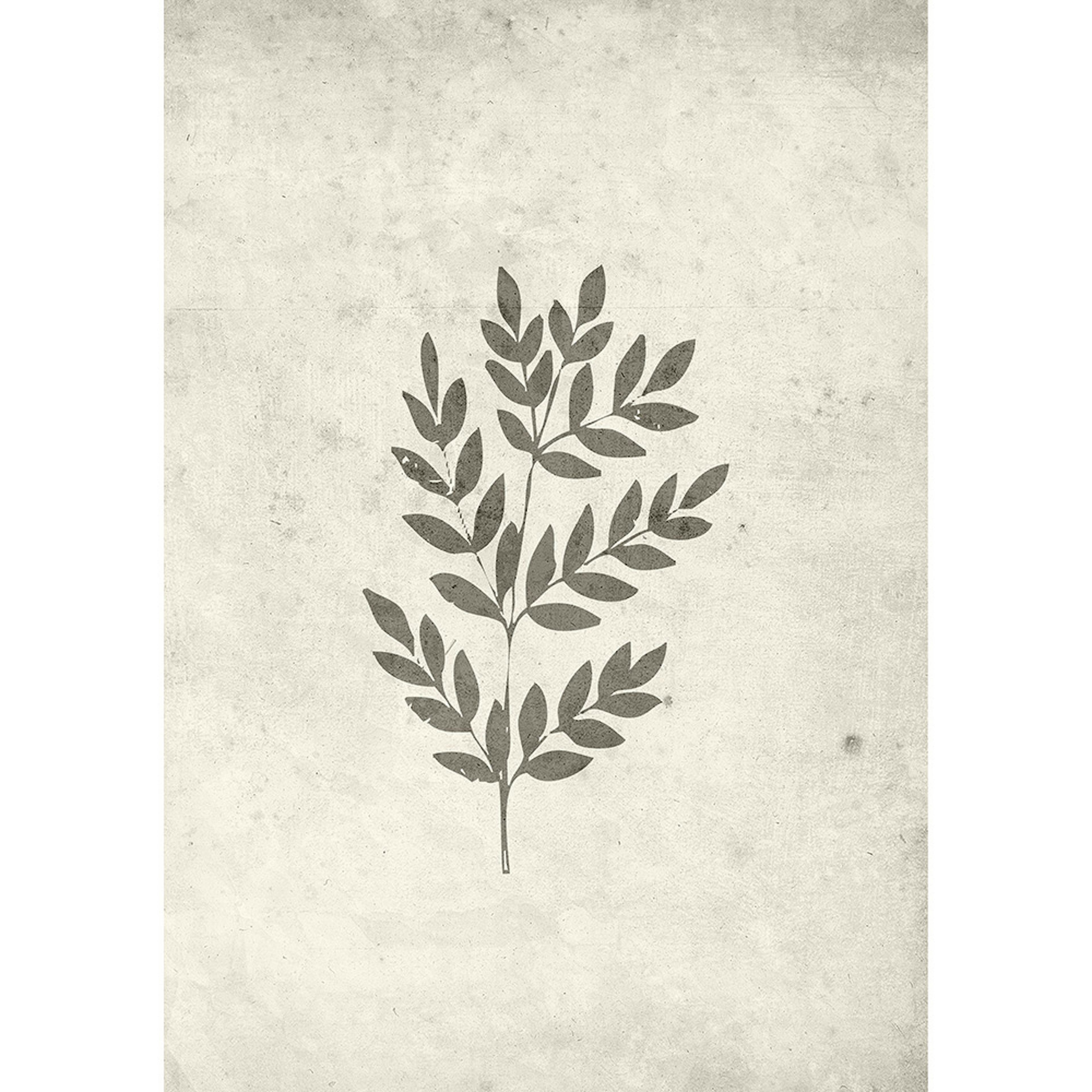 Posters Venture Home Spring Leaf Beige