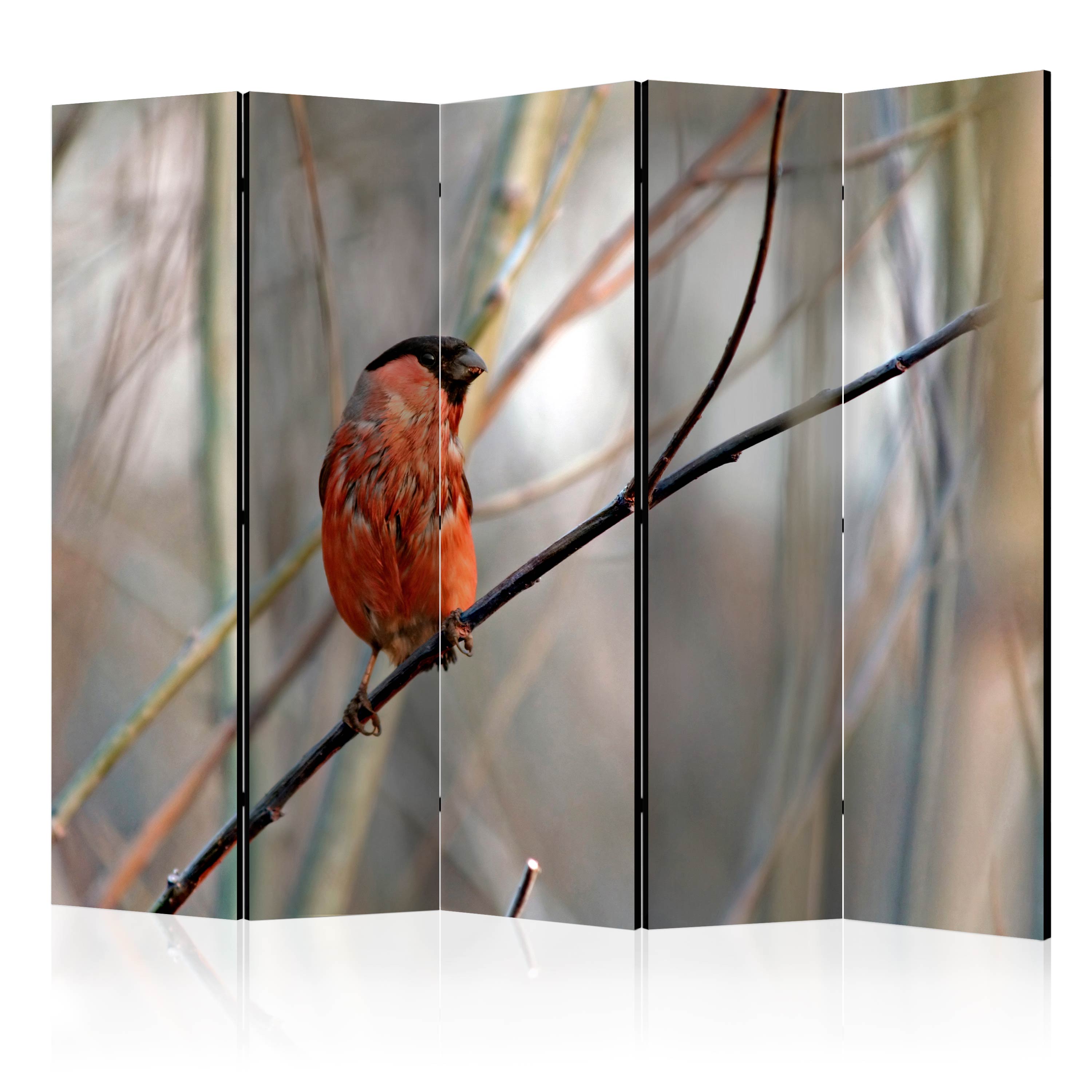 Rumsavdelare Arkiio Bullfinch in the Forest II 225x172 cm