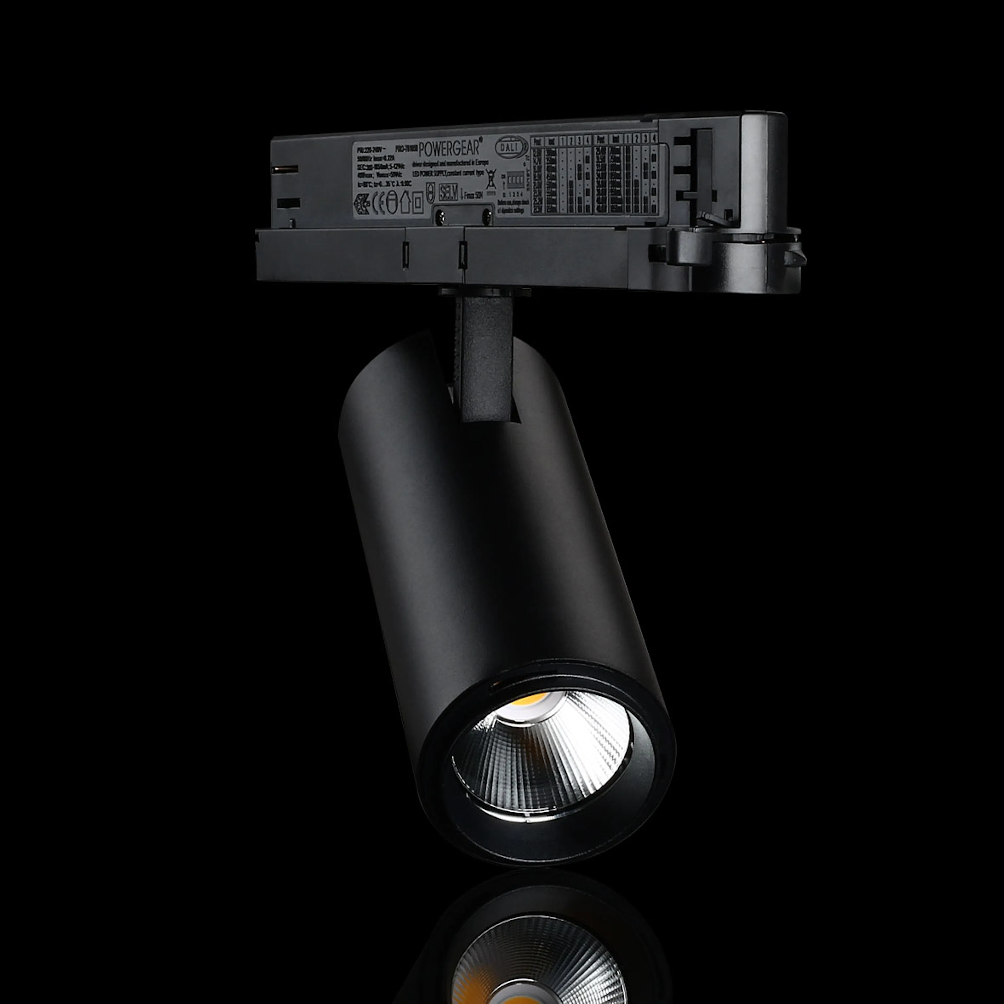 Spotlight Designlight Tracklight P Dali