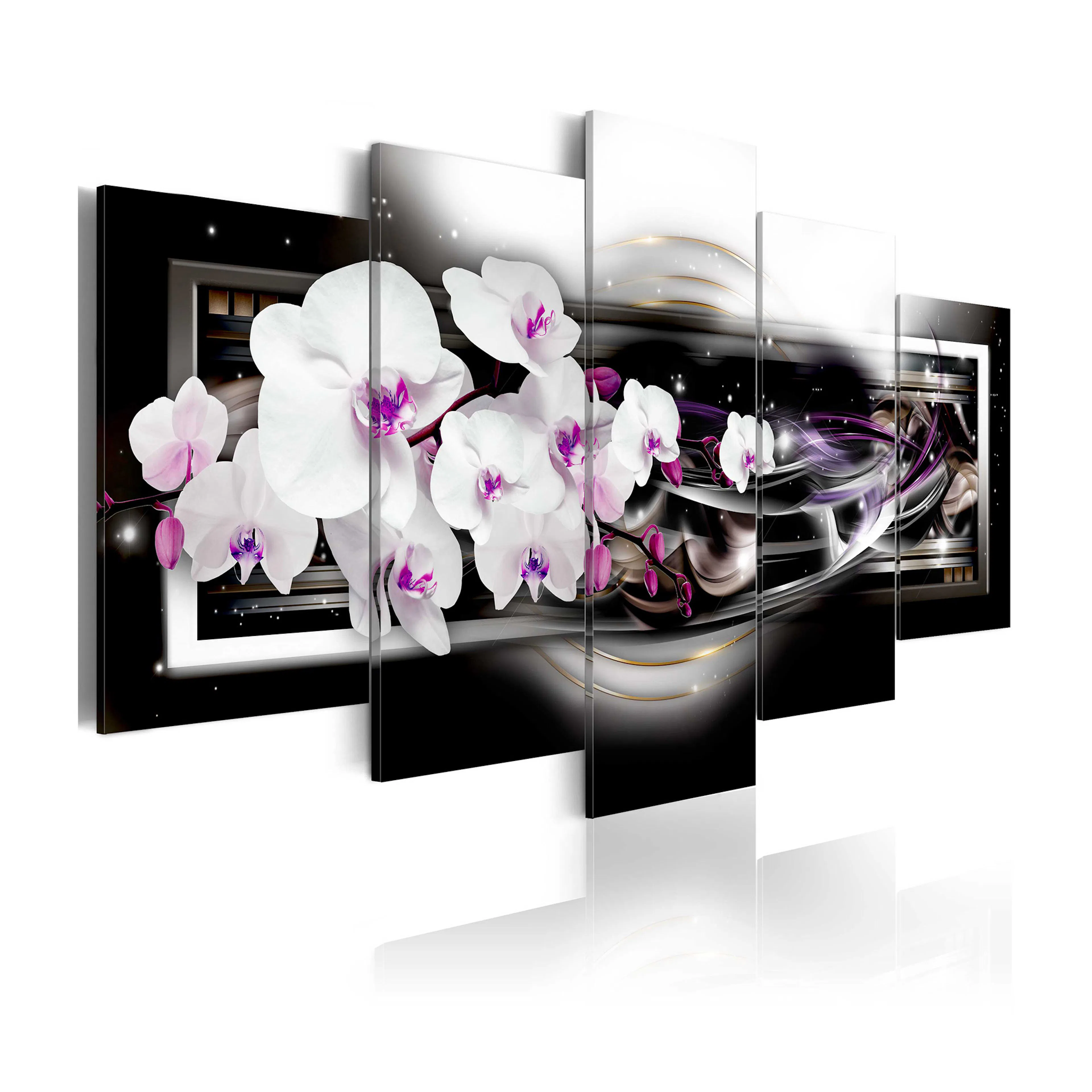 Tavla Arkiio Orchids On A Black Background