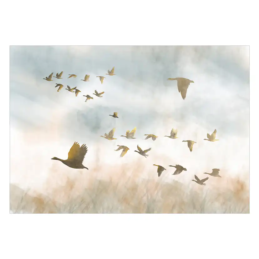 Fototapet Arkiio Golden Geese