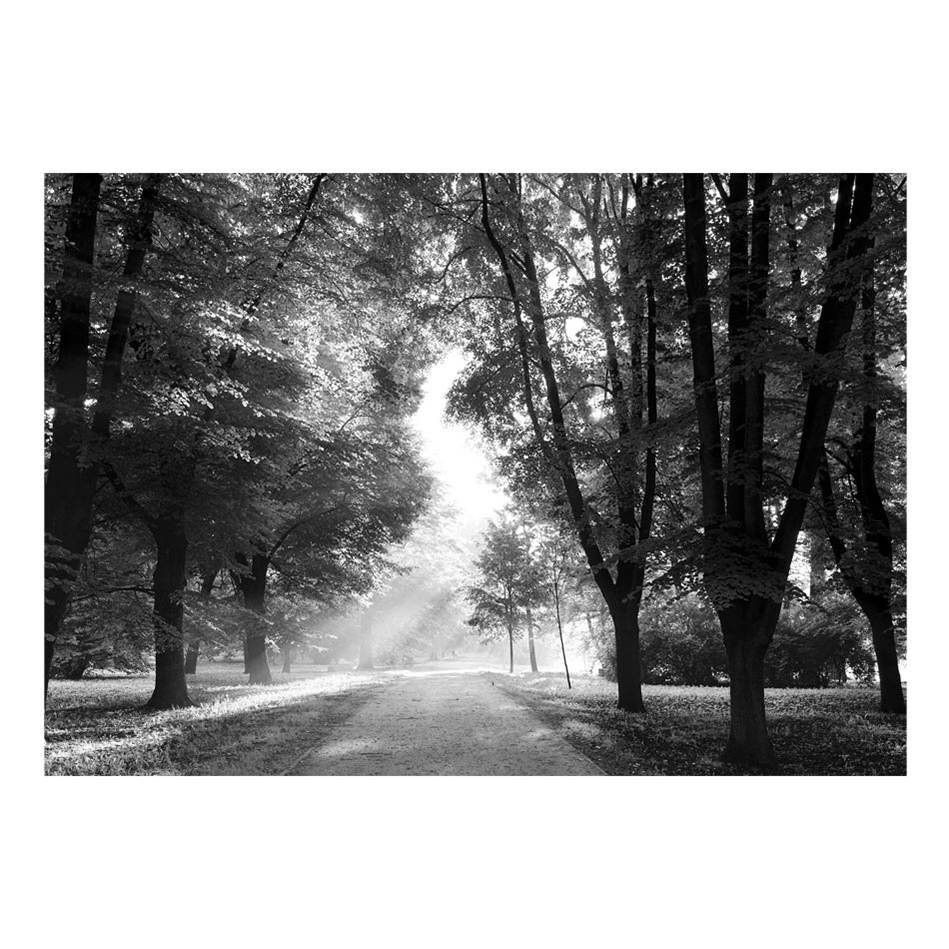 Fototapet Arkiio Path Of Memories