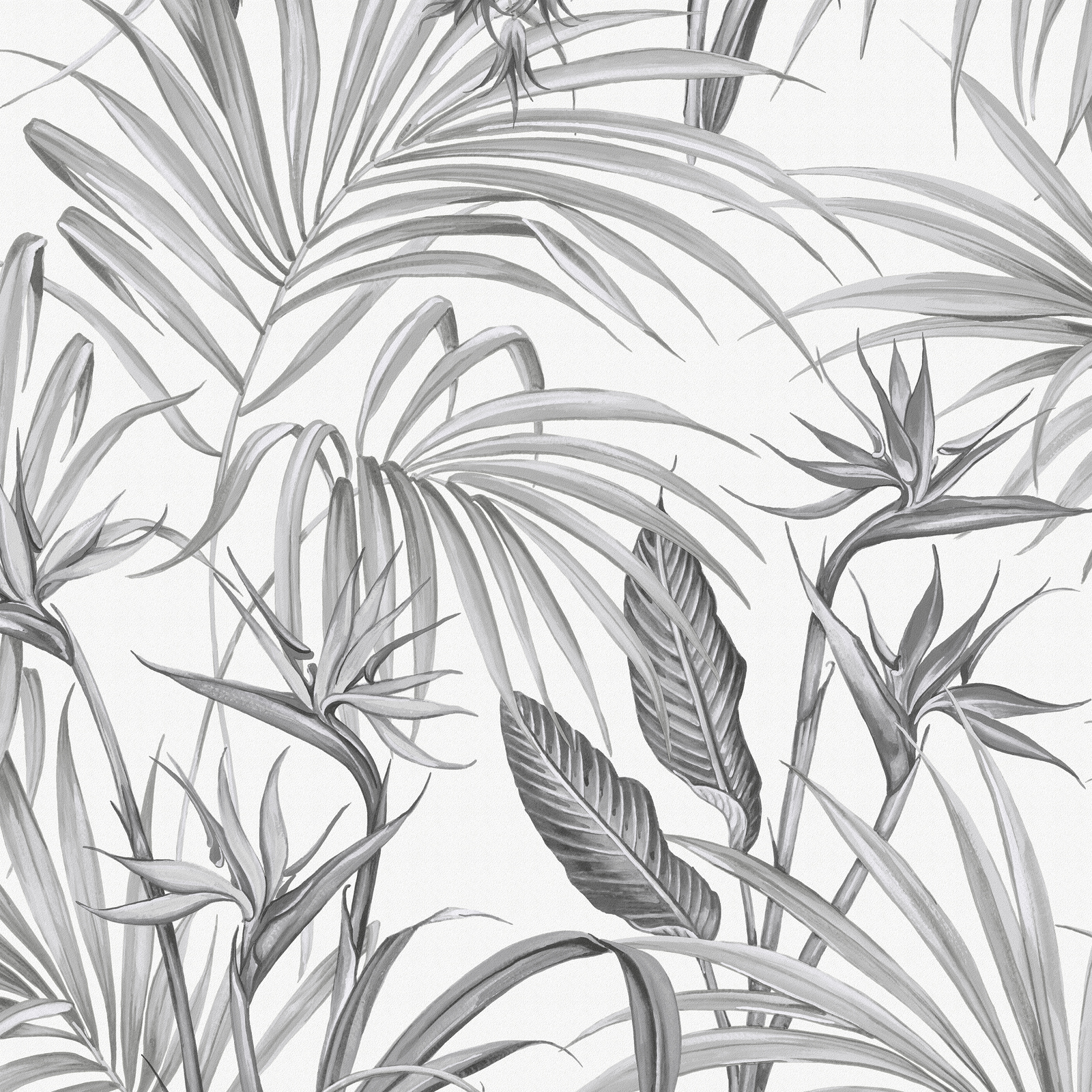 Tapet Superfresco Easy Strelitzia Leaves Grå