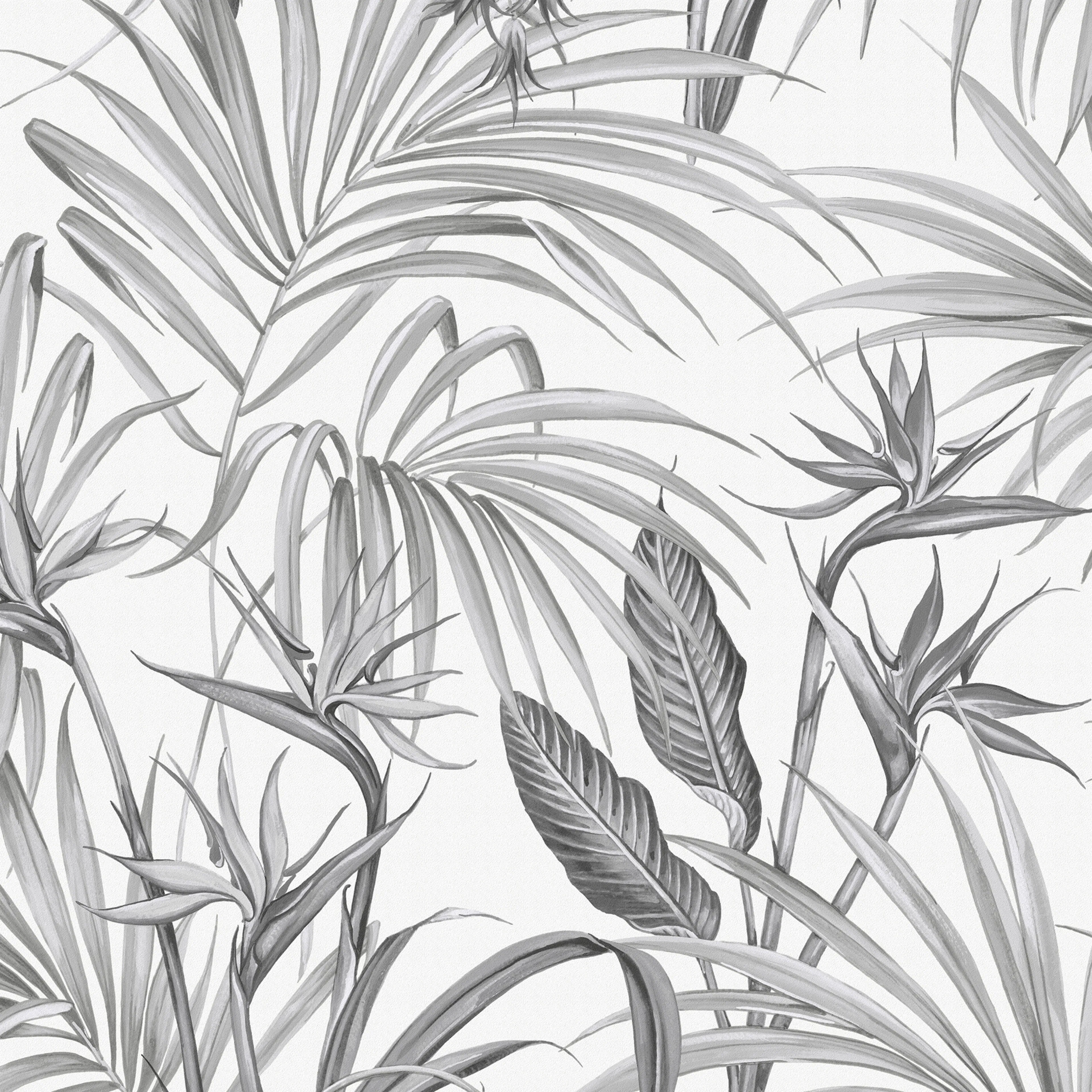 Tapet Superfresco Easy Strelitzia Leaves Grå