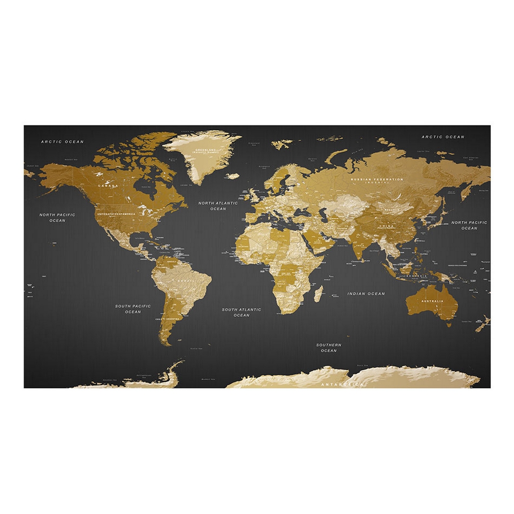 Fototapet Arkiio Självhäftande World Map Modern Geography II 490x280