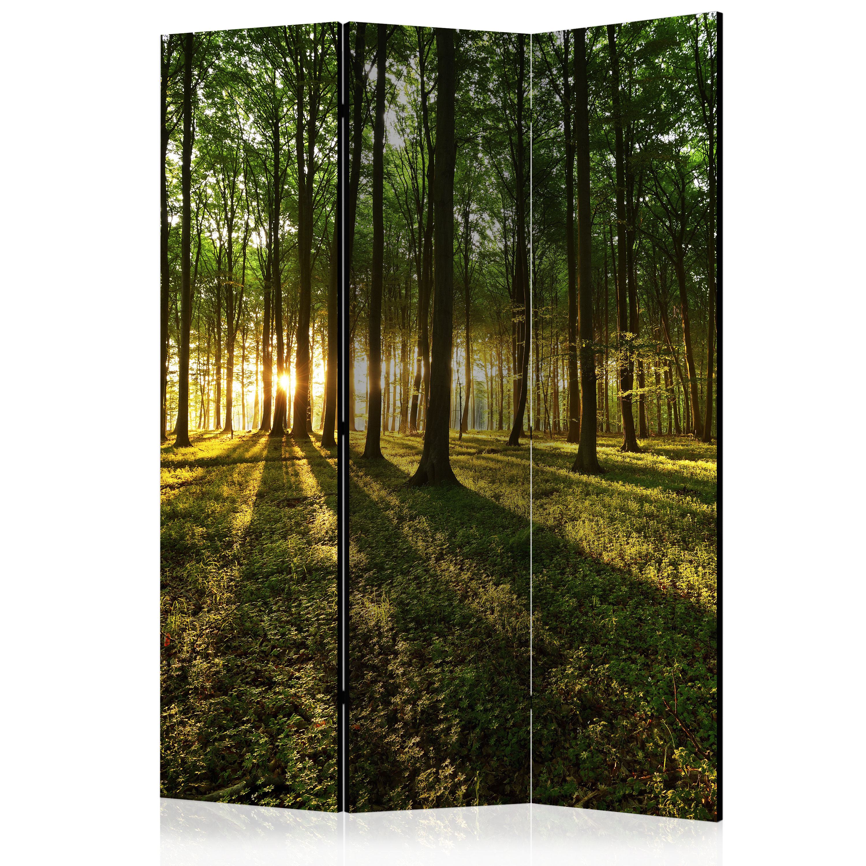 Rumsavdelare Arkiio Morning In The Forest 135x172 cm