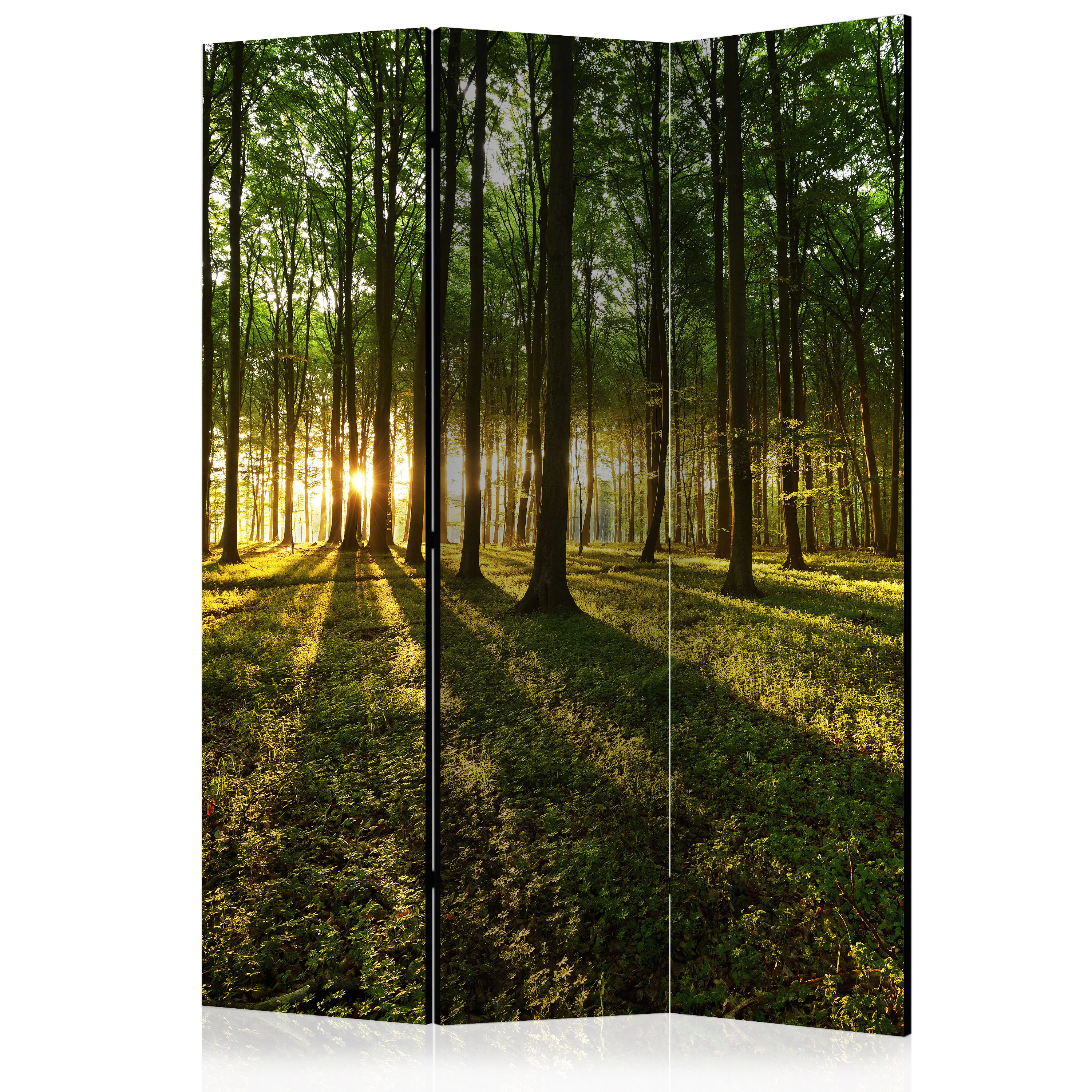 Rumsavdelare Arkiio Morning In The Forest 135x172 cm