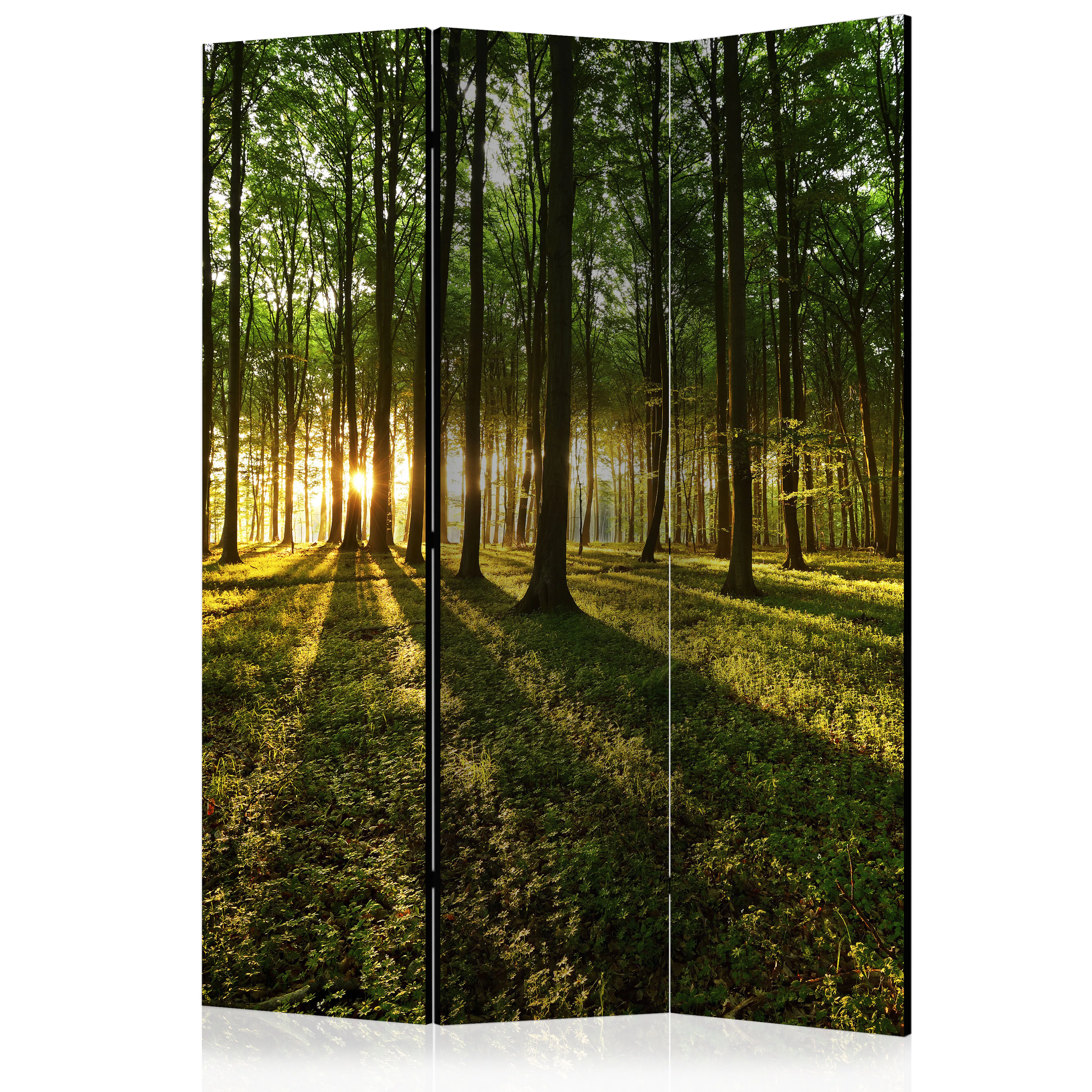 Rumsavdelare Arkiio Morning In The Forest 135x172 cm