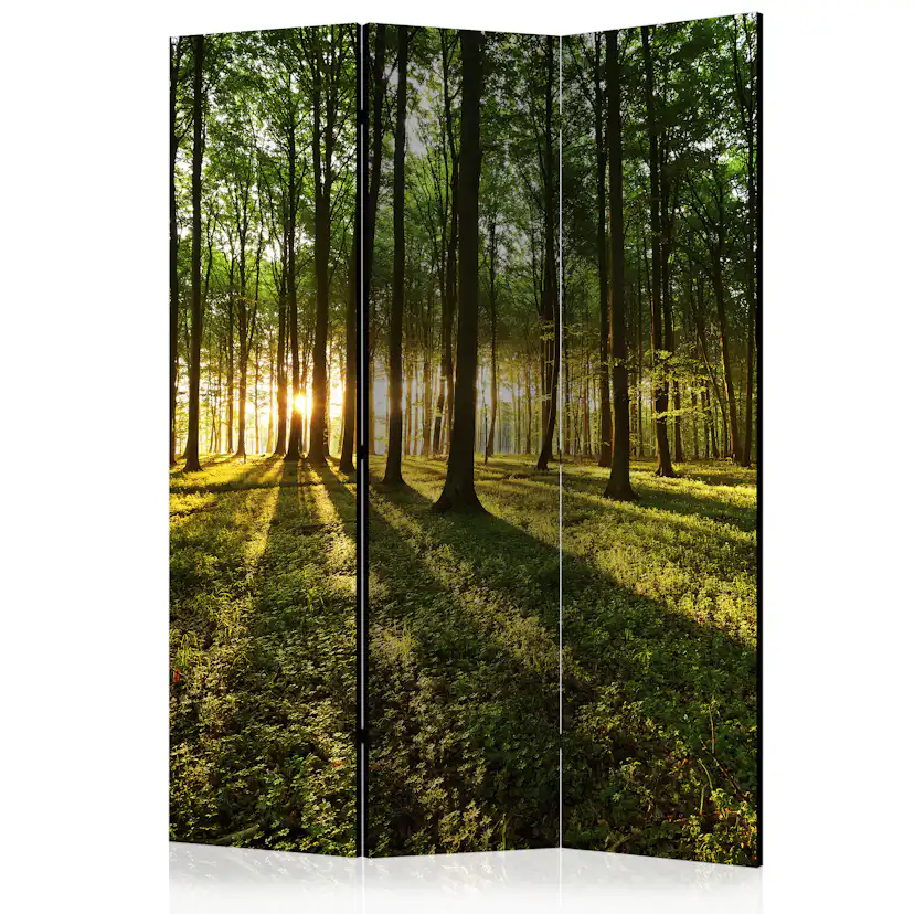 Rumsavdelare Arkiio Morning In The Forest 135x172 cm