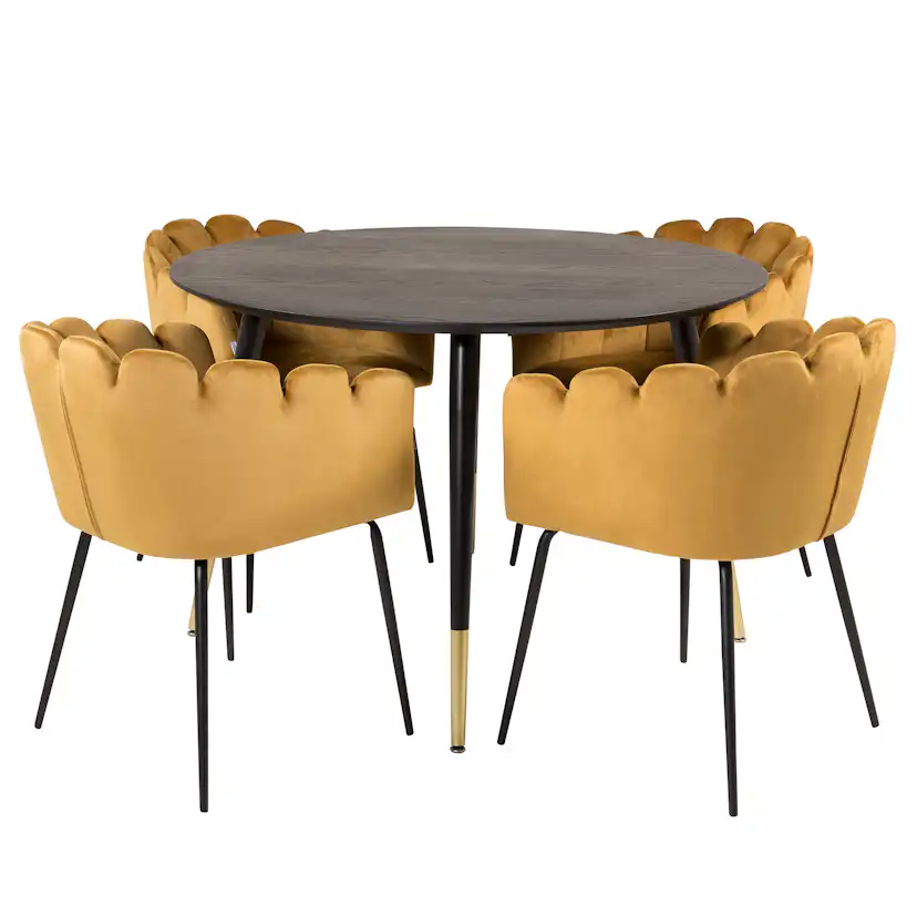 Matgrupp furniture/fashion Disa med 4 Limhamn Stolar