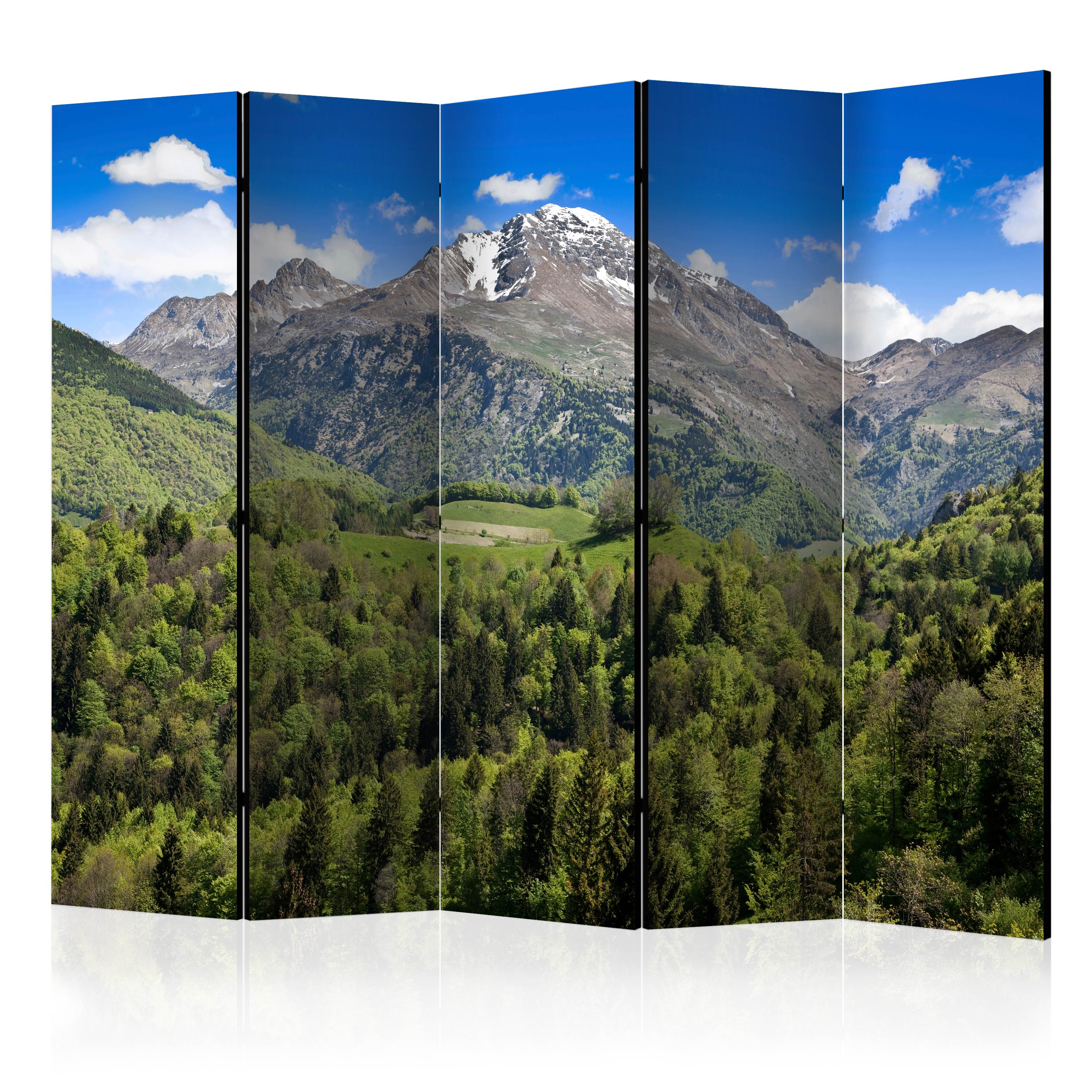 Rumsavdelare Arkiio Holiday In The Mountains II 225x172 cm