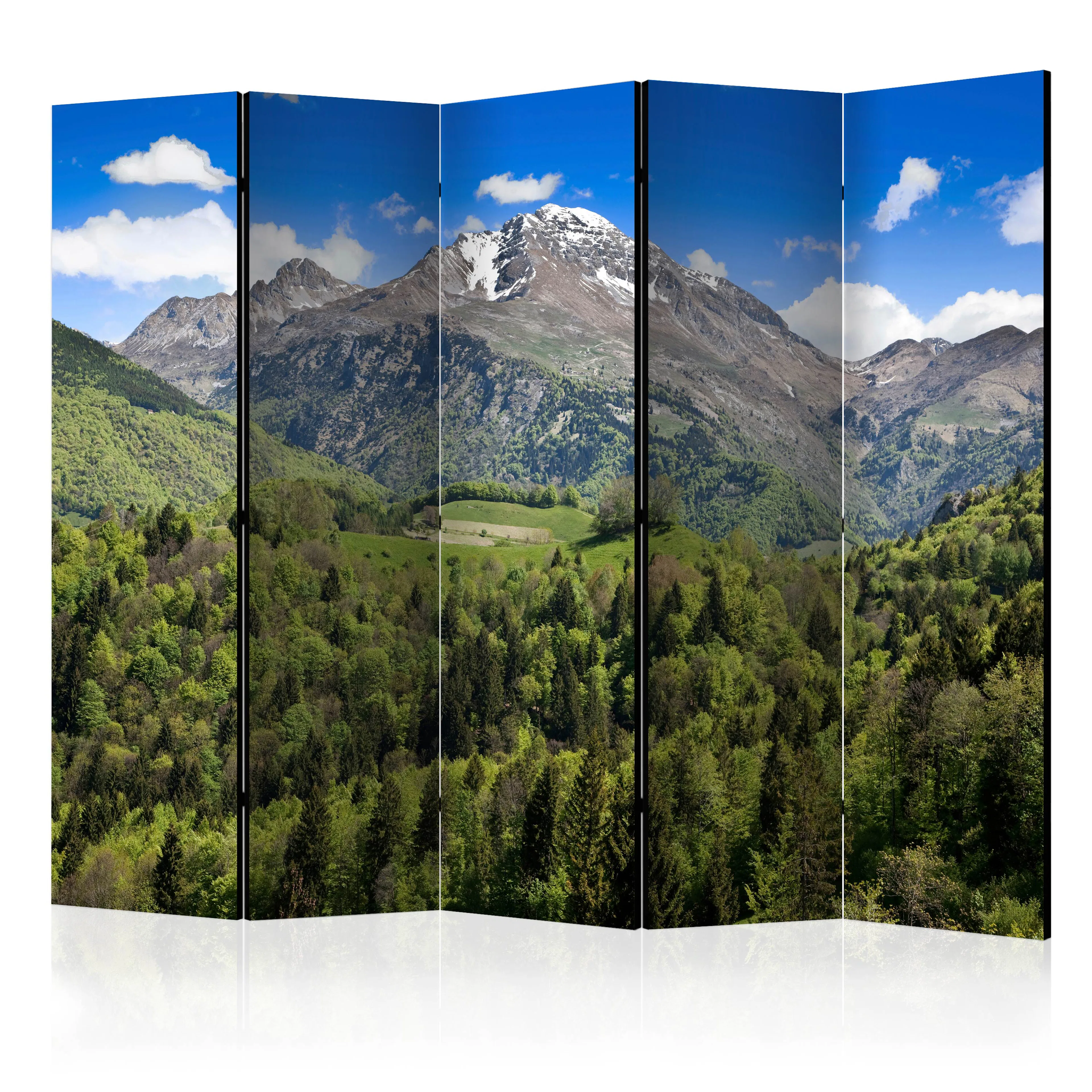 Rumsavdelare Arkiio Holiday In The Mountains II 225x172 cm