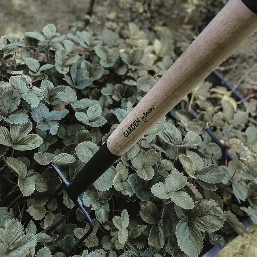 Grep by Benson Deluxe