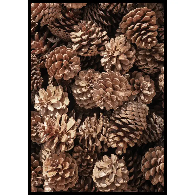 Poster Gallerix Fir Cones Close Up