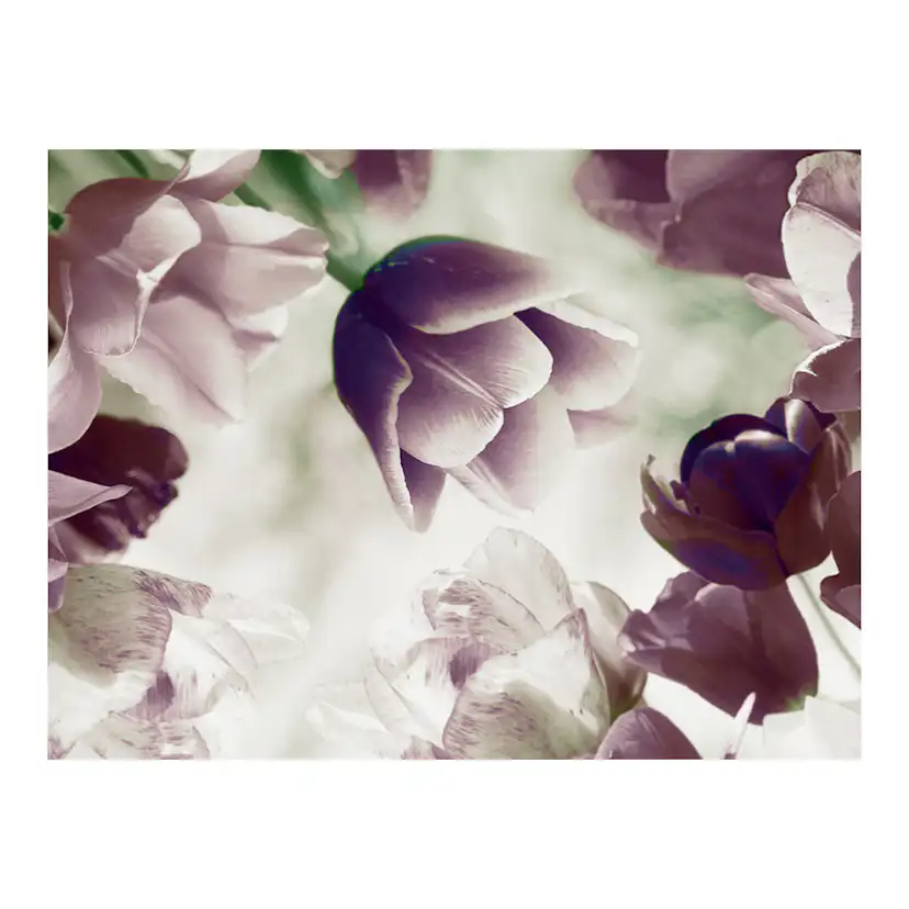 Fototapet Arkiio Heavenly Tulips