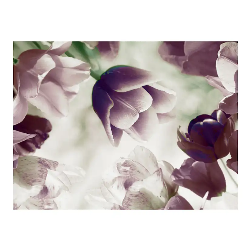 Fototapet Arkiio Heavenly Tulips