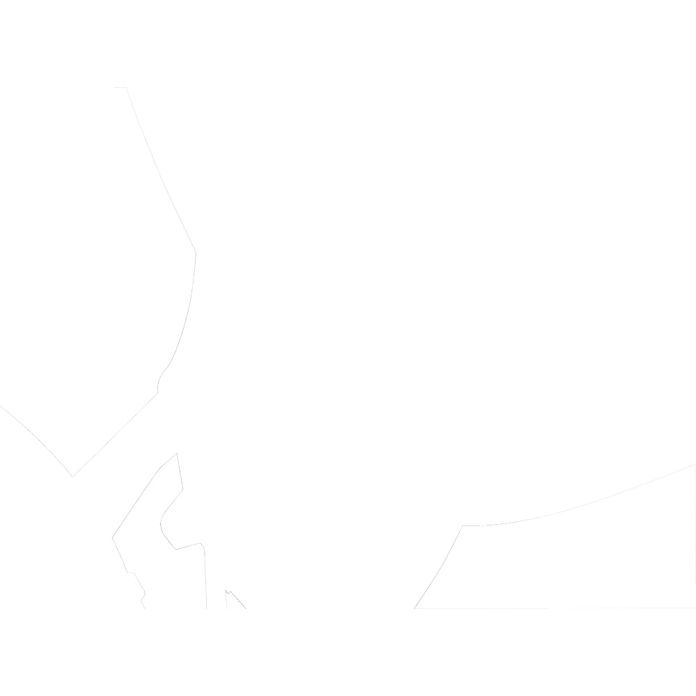 Avfallspåsar Brabantia 10-12L Vit Plastpåse med Knytband