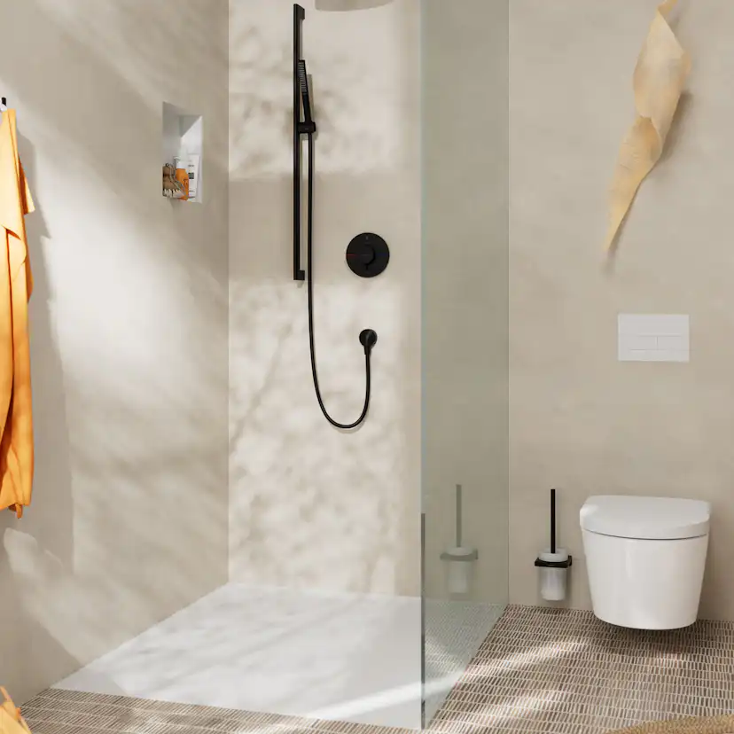 Hansgrohe AddStoris WC-borste Mattsvart Mattsvart