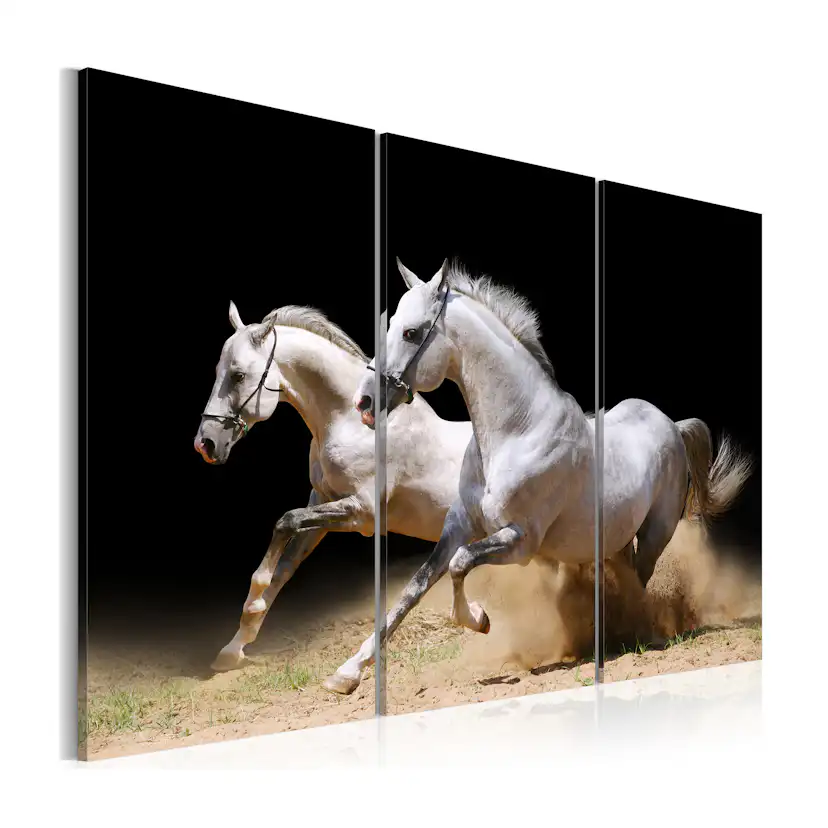 Tavla Arkiio Horses Power And Velocity