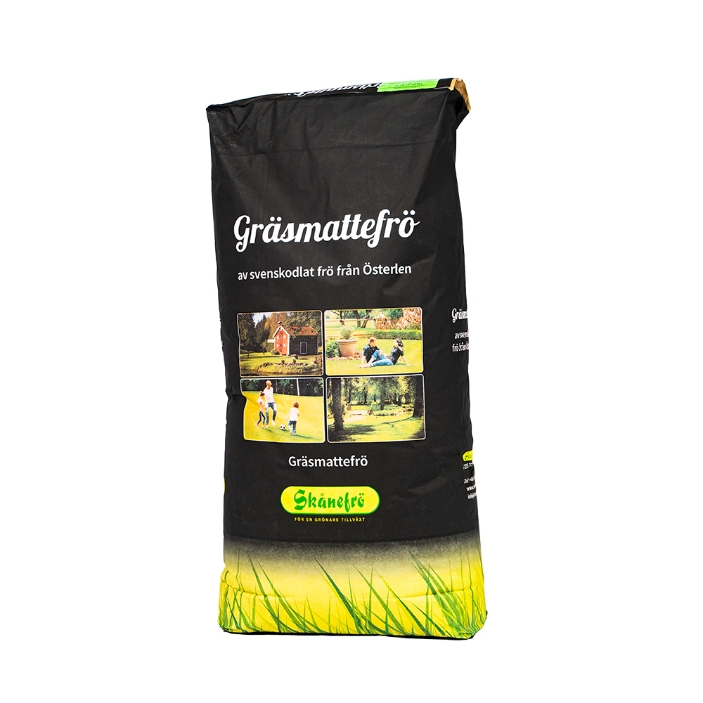 Gräsfrö Skånefrö 100 Svingel