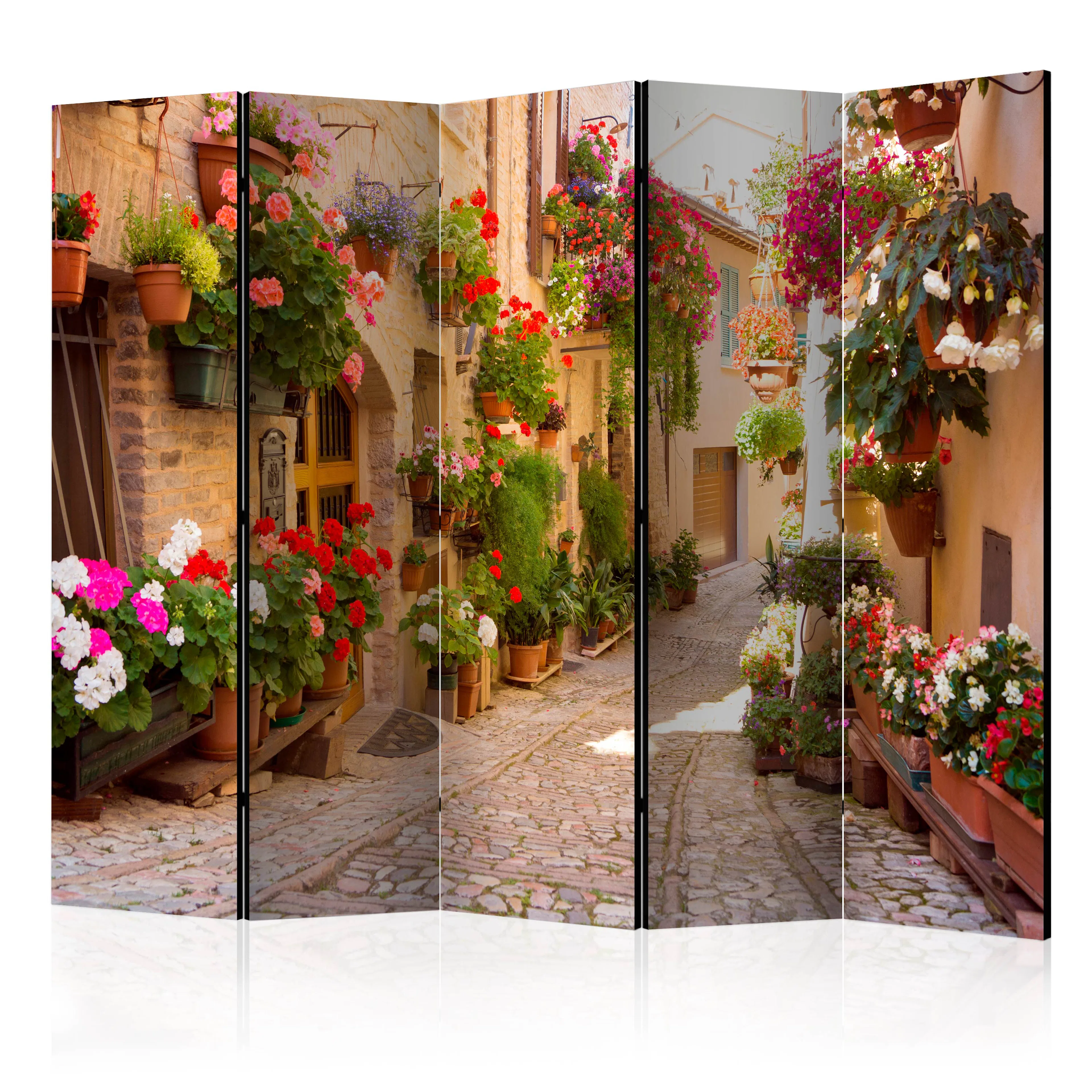 Rumsavdelare Arkiio The Alley in Spello Italy II 225x172 cm