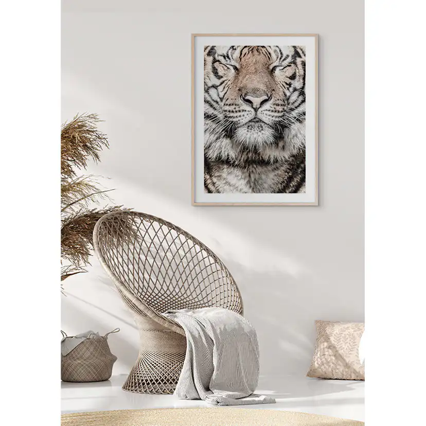 Poster Gallerix Tiger