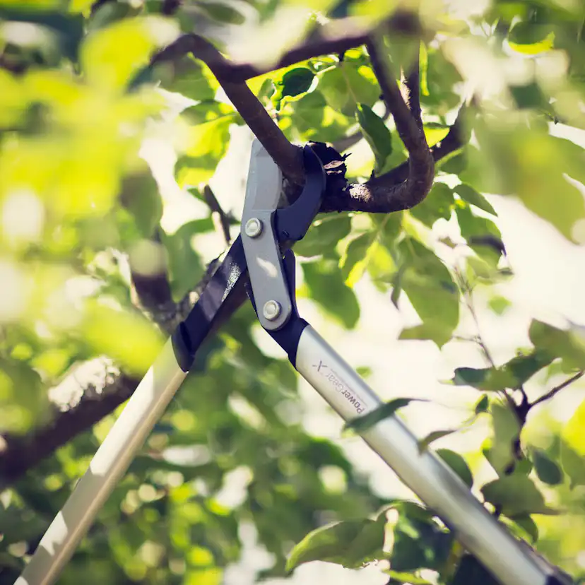 Grensax Fiskars PowerGear X LX94 M