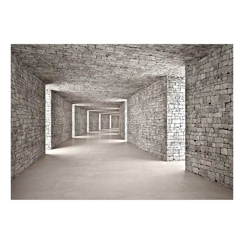 Fototapet Arkiio Mysterious Tunnel Självhäftande