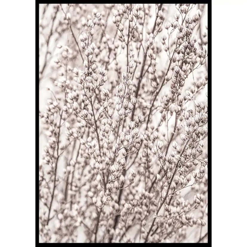 Poster Gallerix Boho Botanical