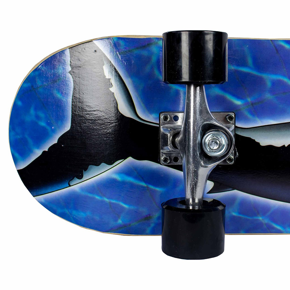 Skateboard Sandbar Shark