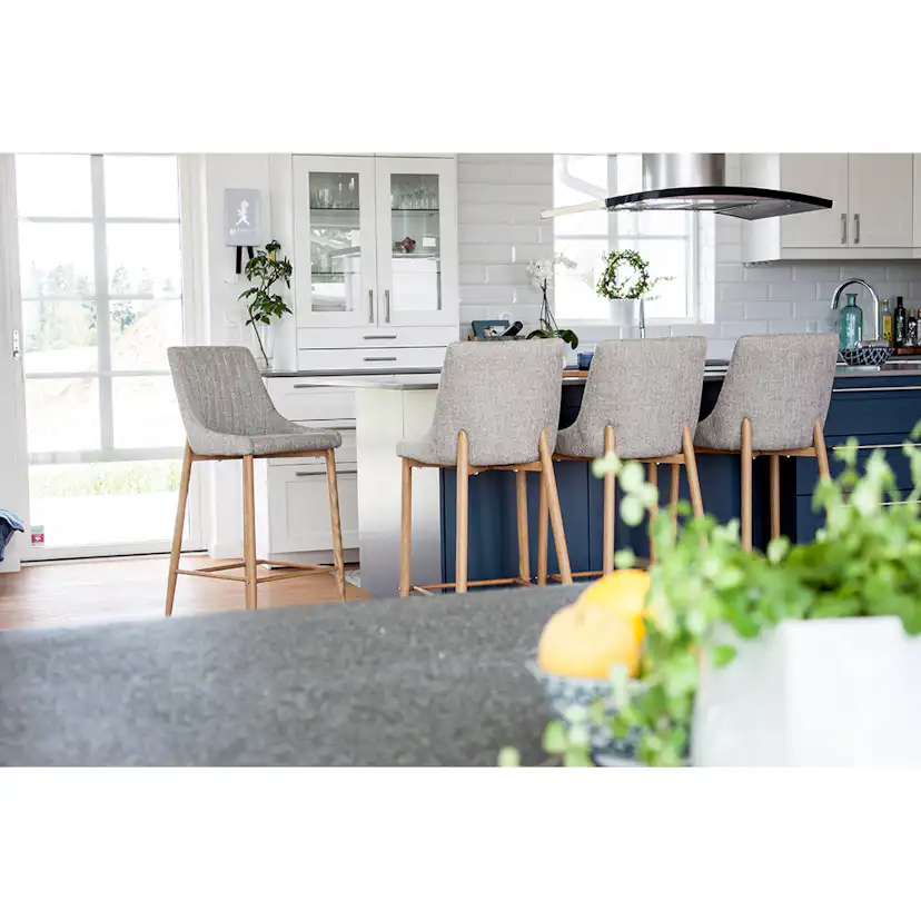 Barstol Venture Home Plaza