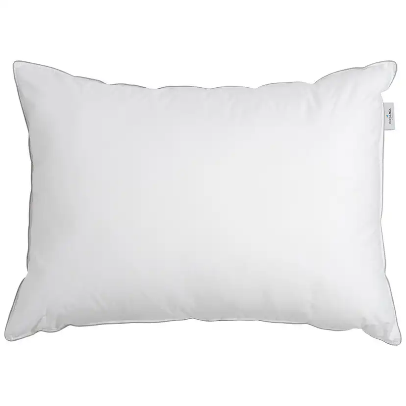 Hotellkudde Borganäs of Sweden