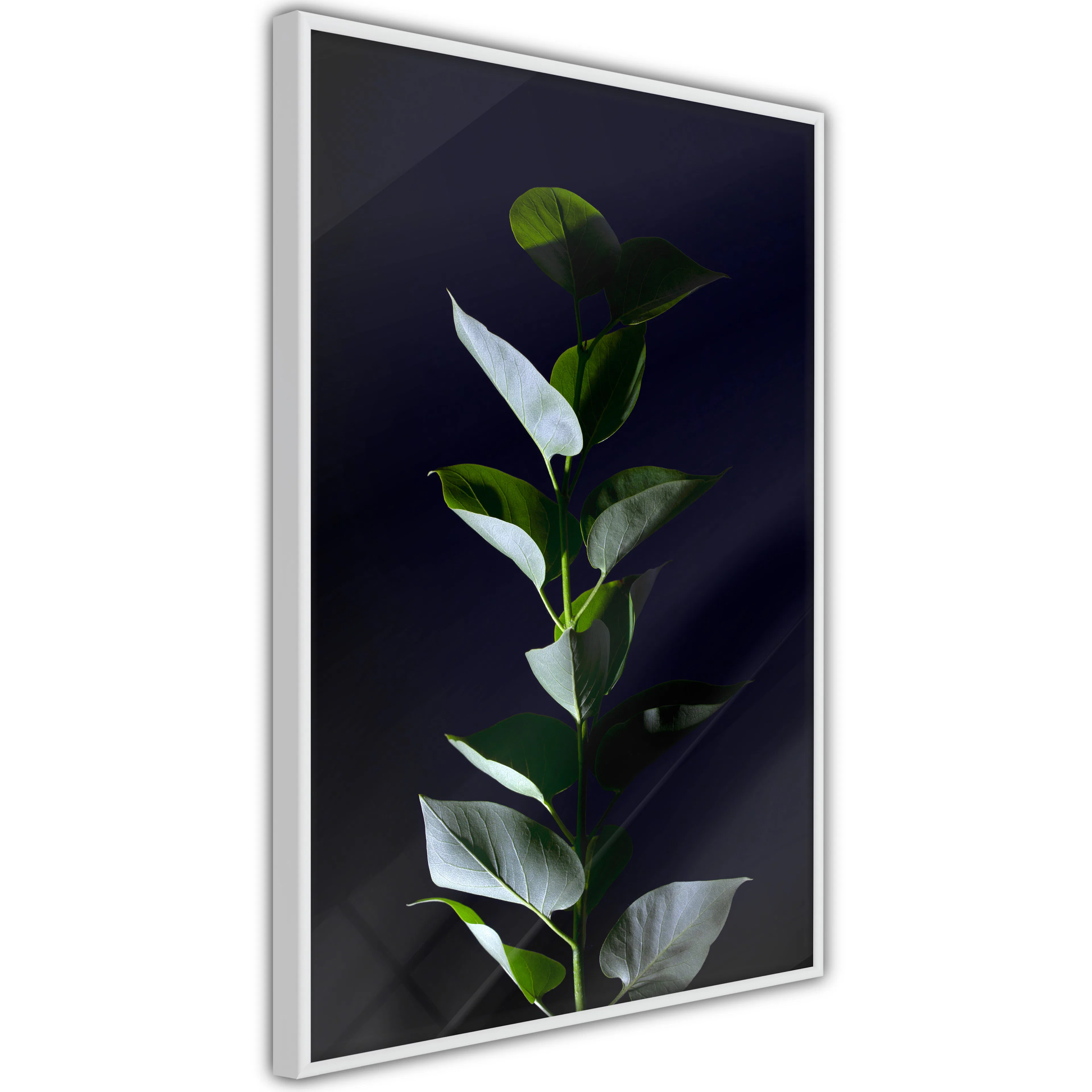 Poster Artgeist Affisch In the Moonlight