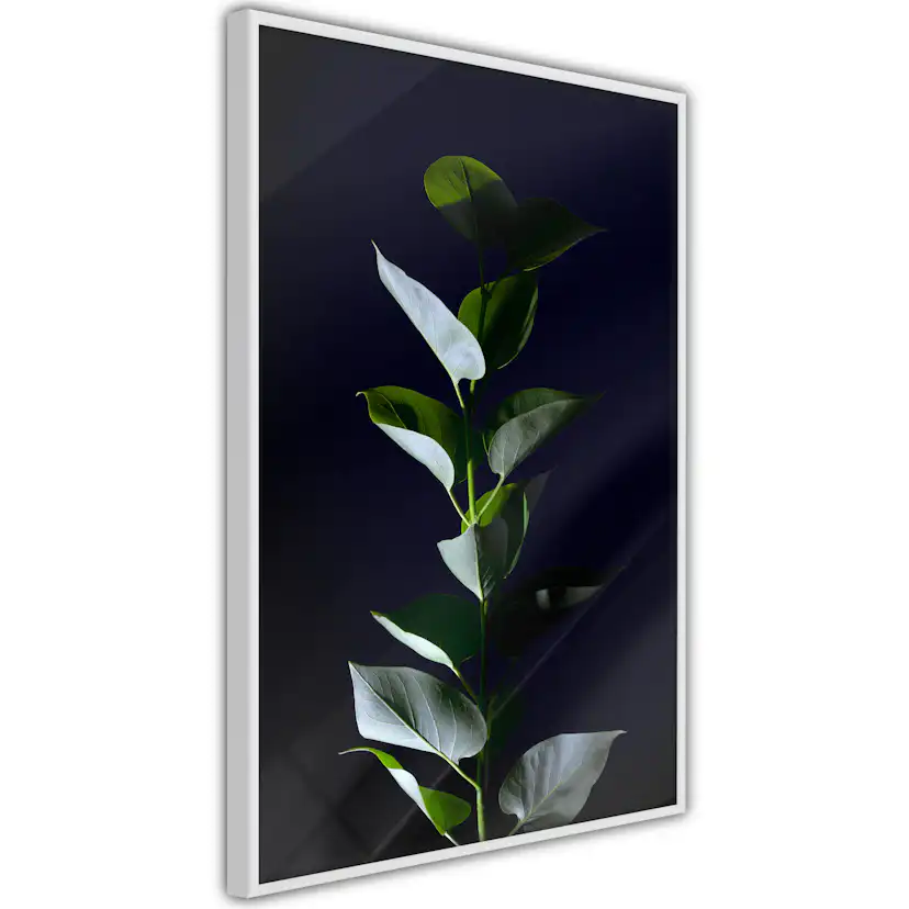 Poster Artgeist Affisch In the Moonlight