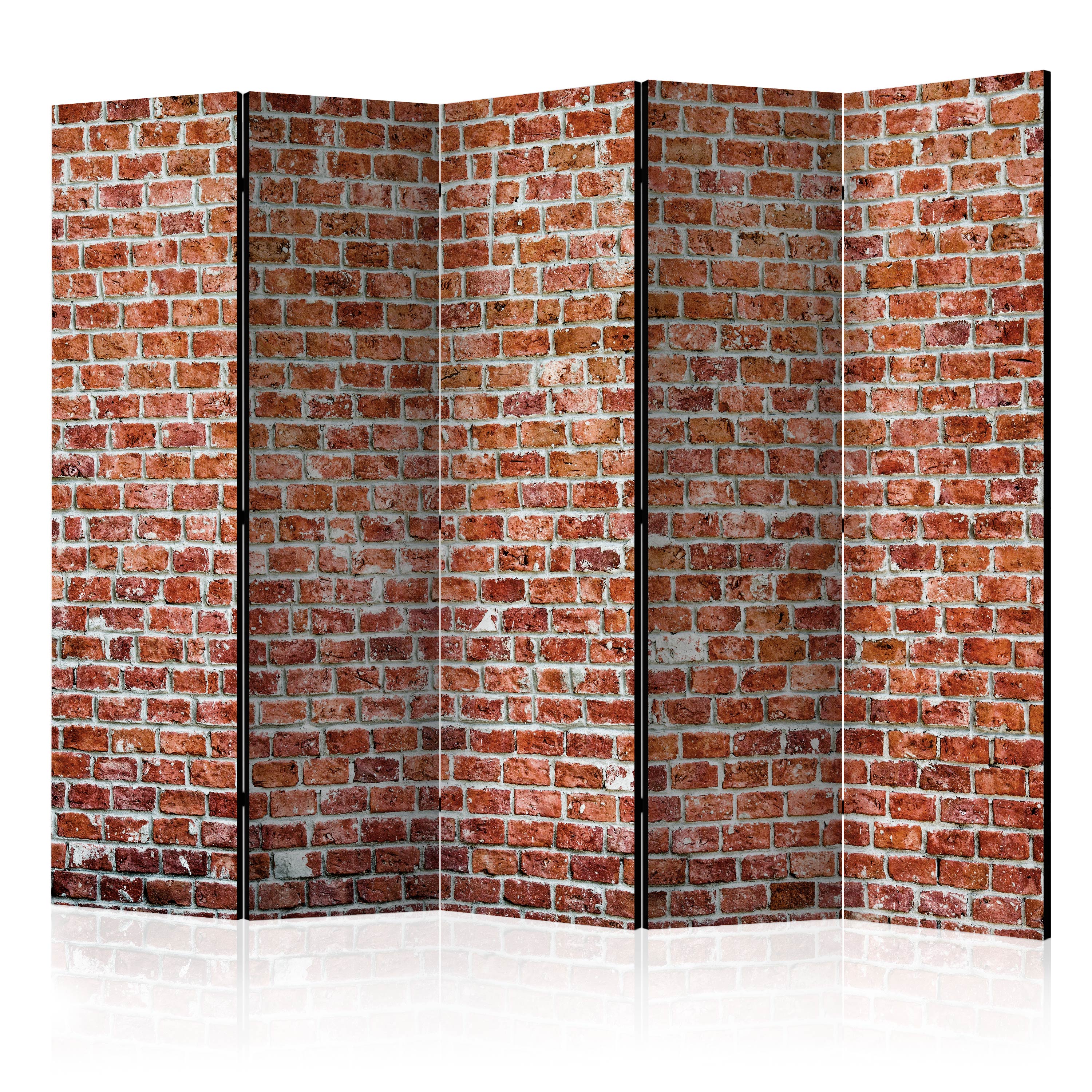 Rumsavdelare Arkiio Red Rock II 225x172 cm