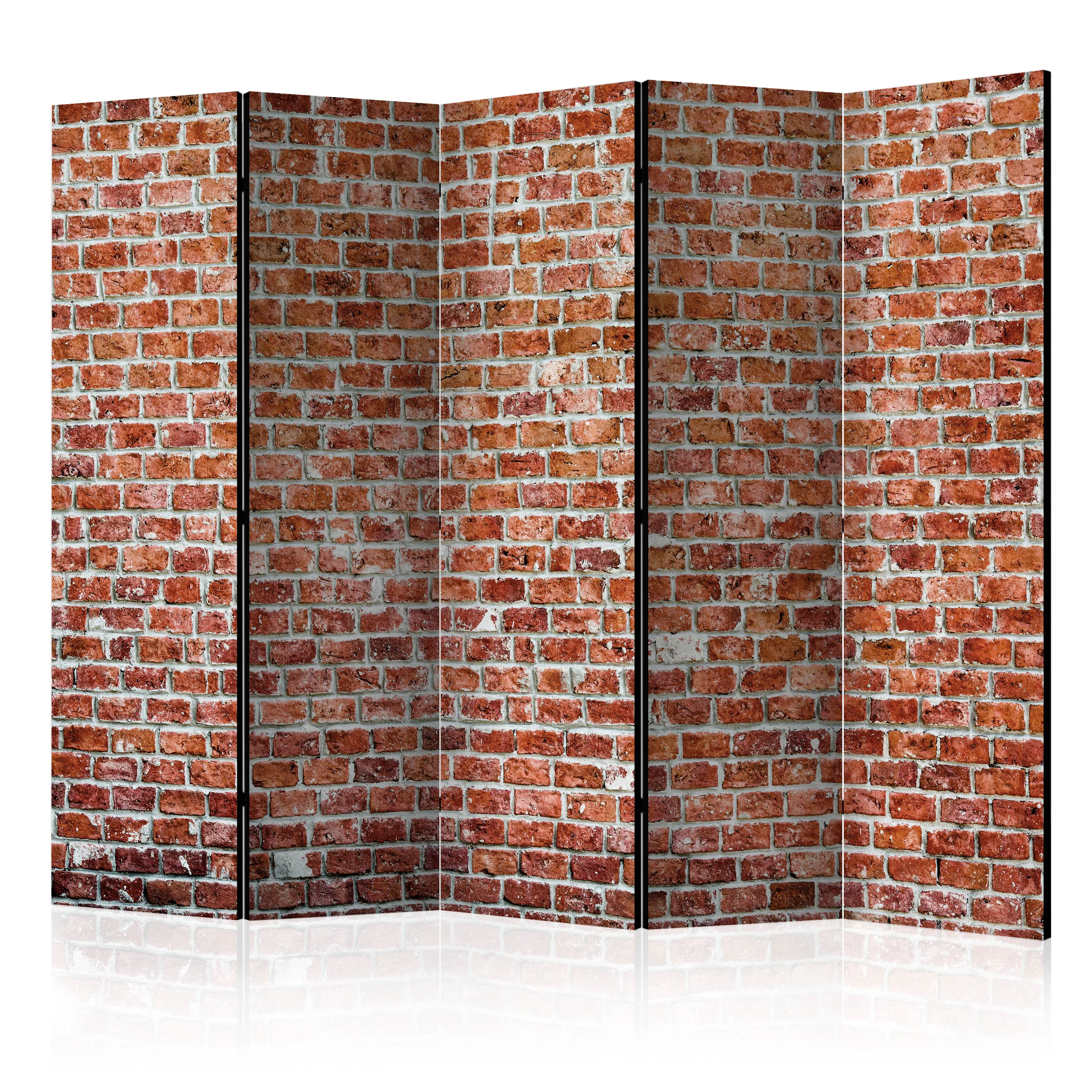 Rumsavdelare Arkiio Red Rock II 225x172 cm