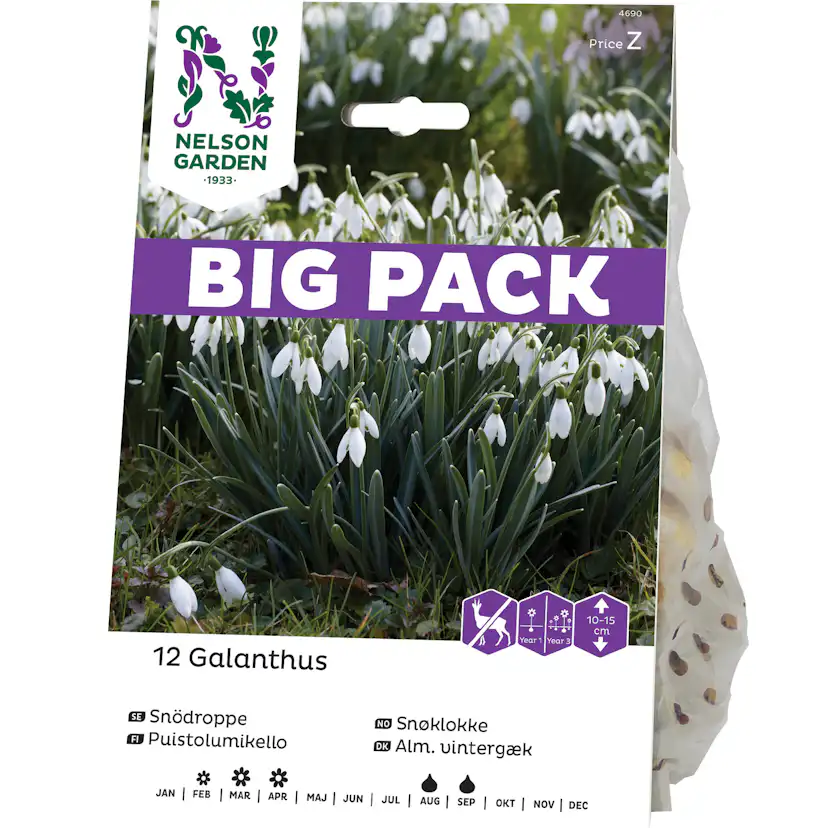 Snödroppe Nelson Garden Galanthus Nivalis Vit Big Pack