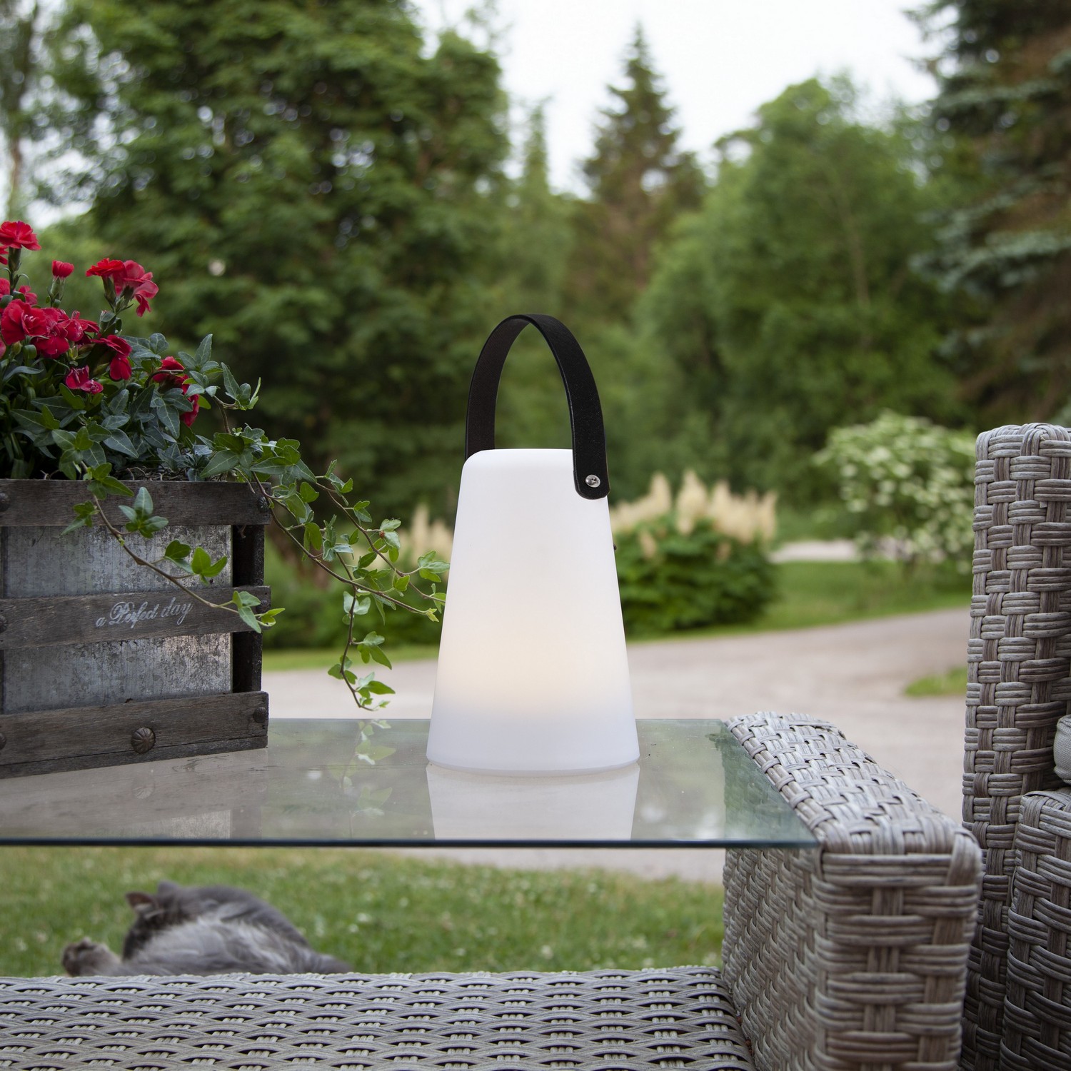 Lykta Star Trading Linterna B/O