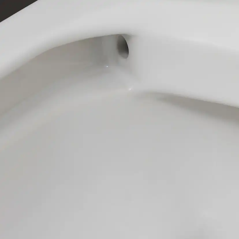 Vägghängd Toalettstol Duravit ME by Starck 252909 utan Toalettsits